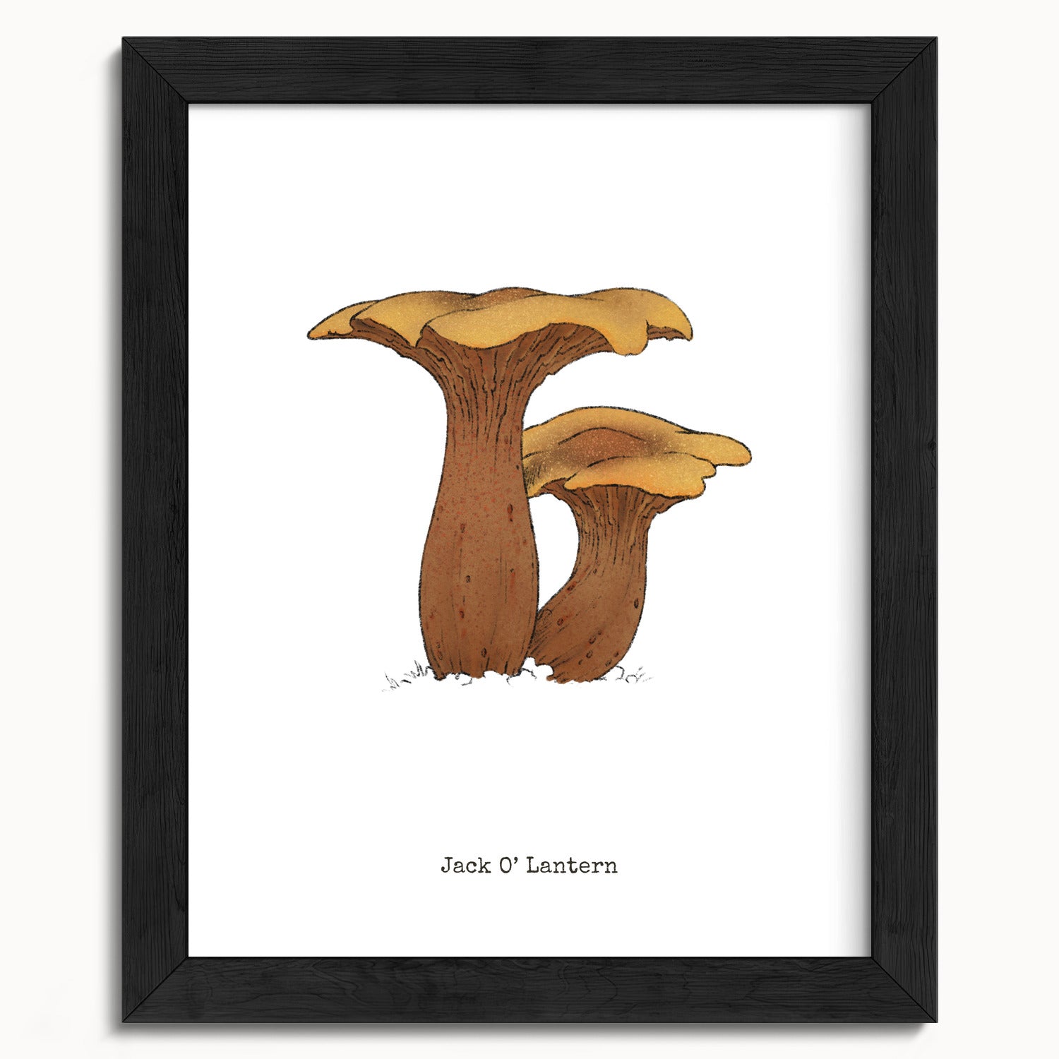 "Jack O'Lantern" by Catherine Hébert - Jack O'Lantern Mushroom  - Botanical Art Print - 8"x10" size