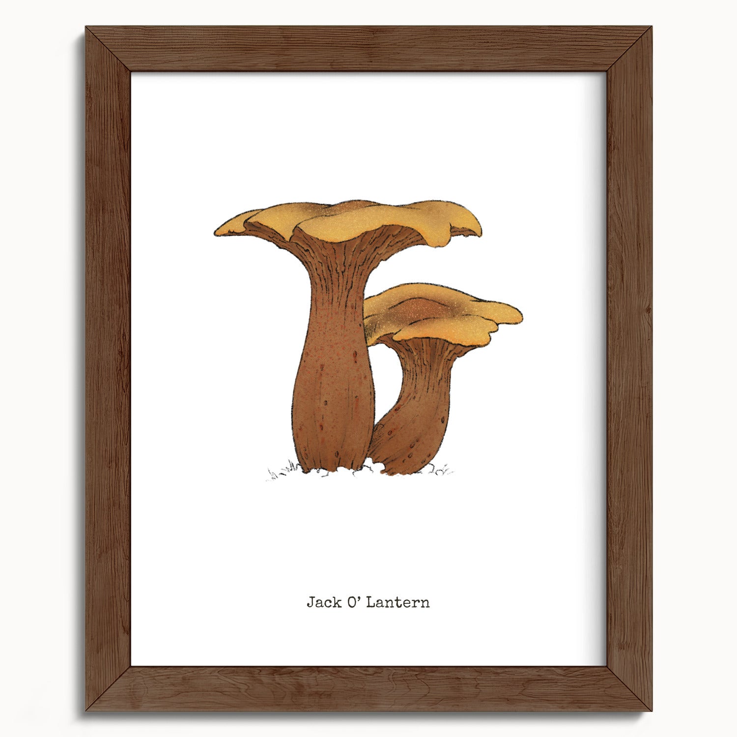 "Jack O'Lantern" by Catherine Hébert - Jack O'Lantern Mushroom  - Botanical Art Print - 8"x10" size