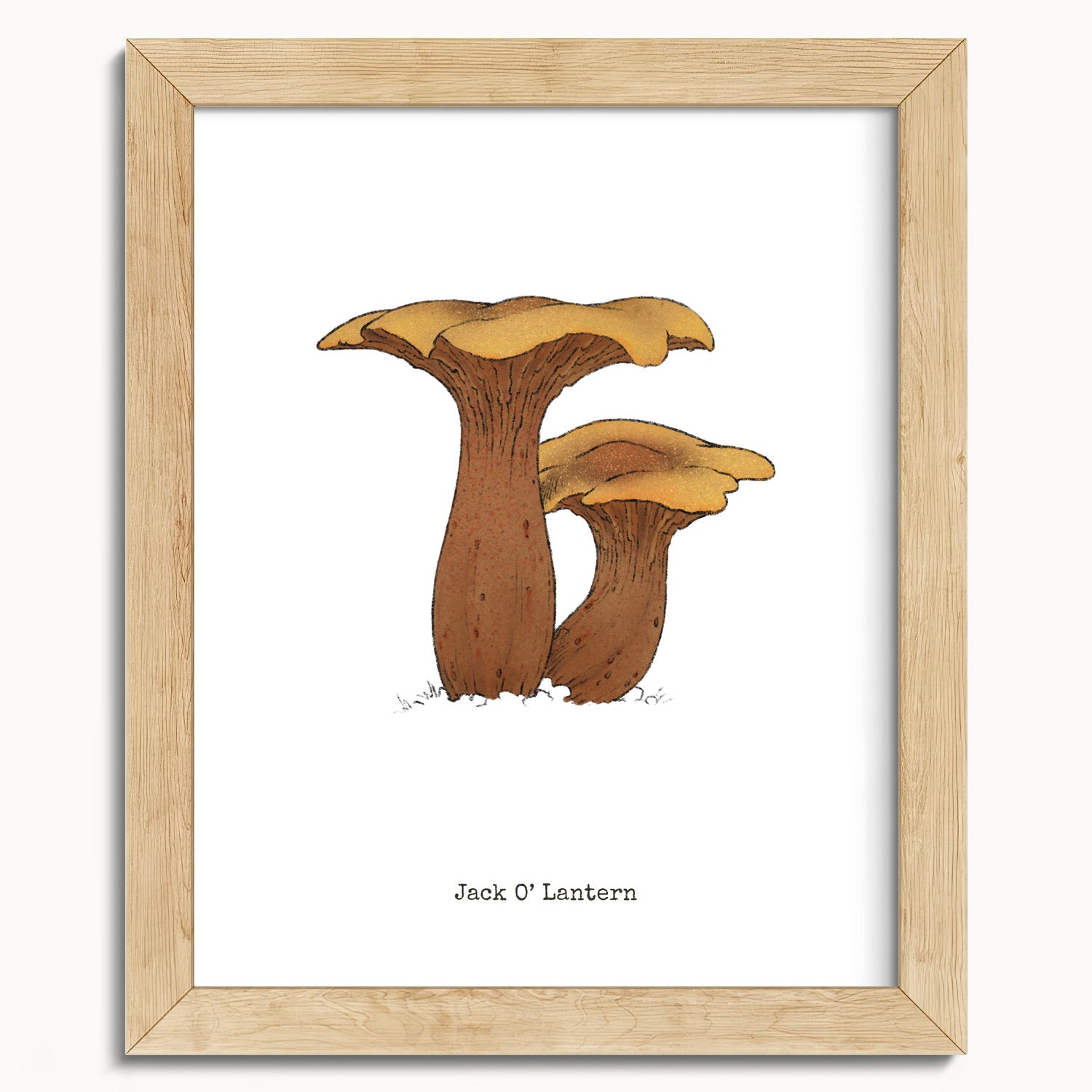 "Jack O'Lantern" by Catherine Hébert - Jack O'Lantern Mushroom  - Botanical Art Print - 8"x10" size