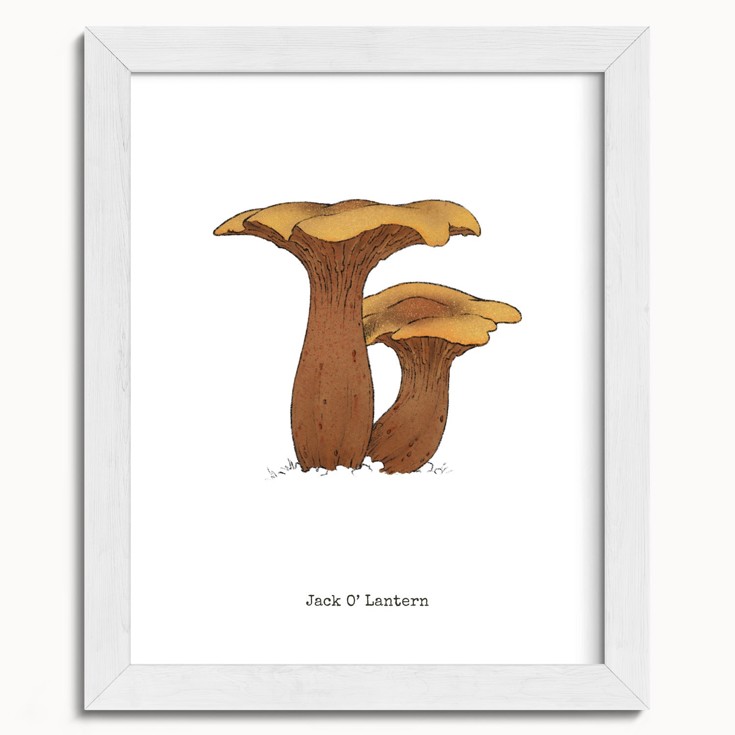 "Jack O'Lantern" by Catherine Hébert - Jack O'Lantern Mushroom  - Botanical Art Print - 8"x10" size