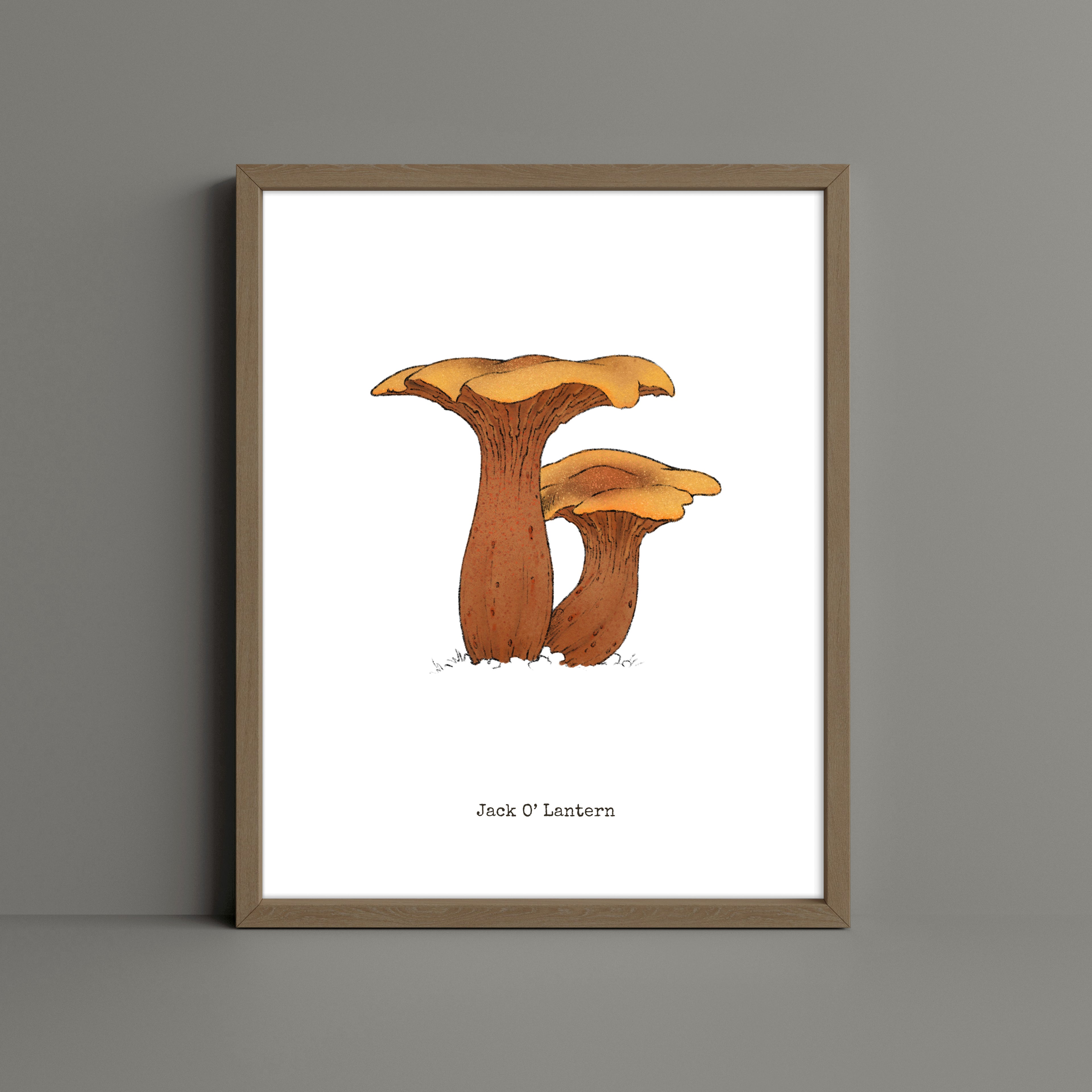 "Jack O'Lantern" by Catherine Hébert - Jack O'Lantern Mushroom  - Botanical Art Print – Floral, Nature Wall Art – Living Room, Kitchen Decor