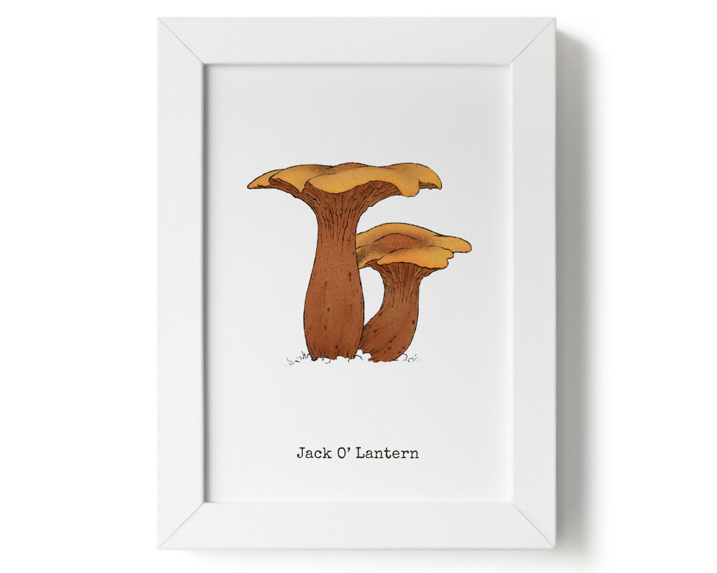 "Jack O'Lantern" by Catherine Hébert - Jack O'Lantern Mushroom Art Print - 5"x7" size