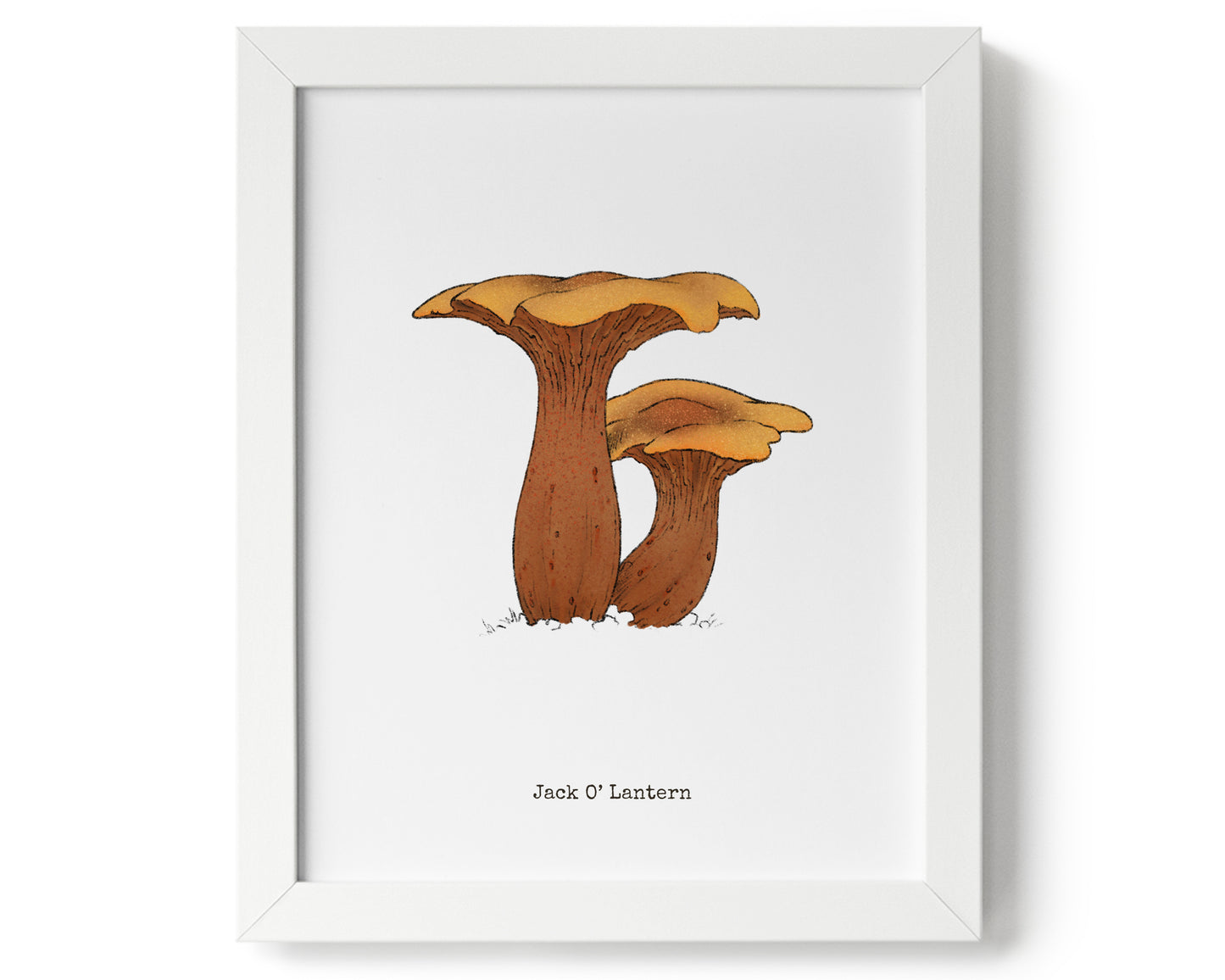 "Jack O'Lantern" by Catherine Hébert - Jack O'Lantern Mushroom Art Print - 8"x10" size