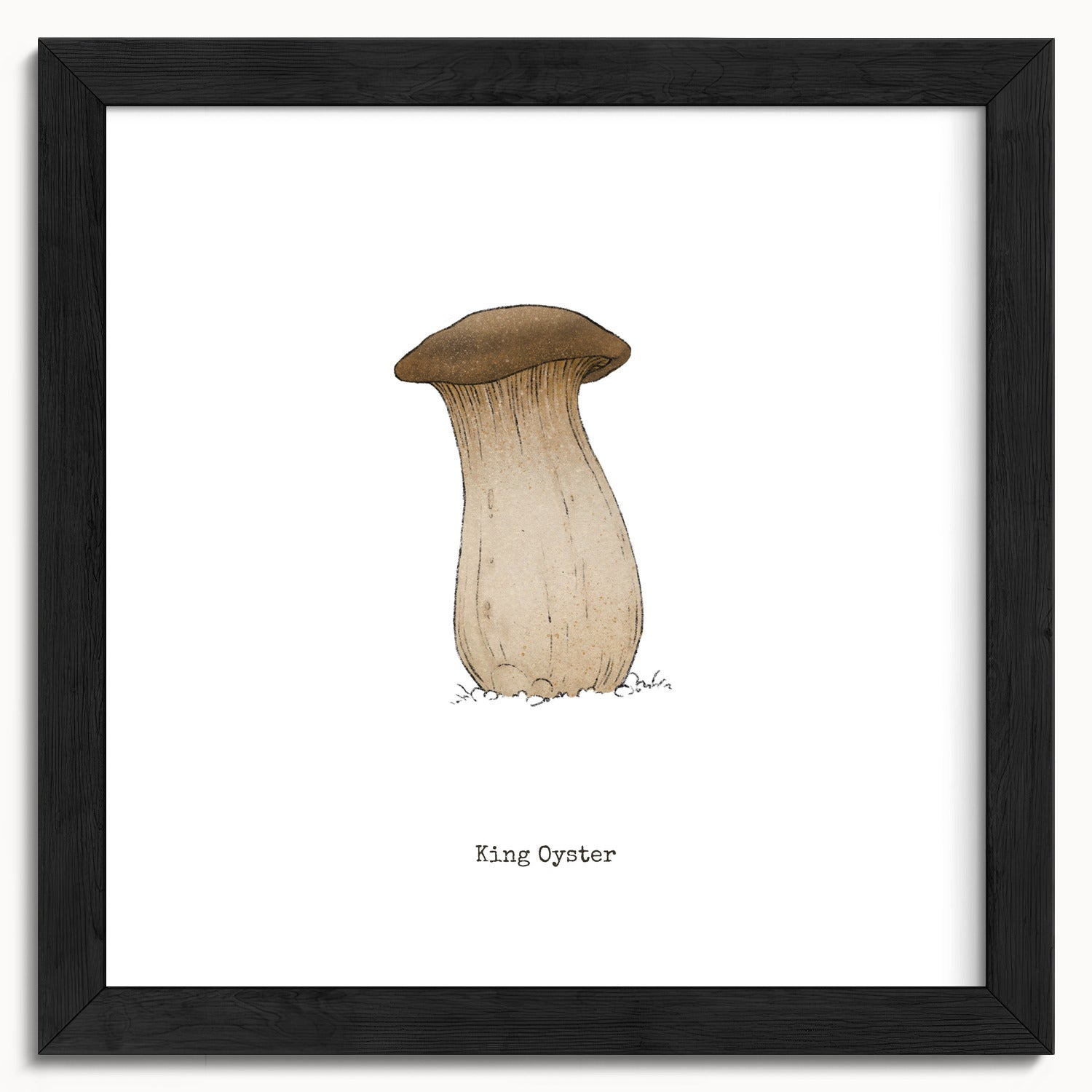 "King Oyster" by Catherine Hébert - King Oyster Mushroom - Botanical Art Print - 10"x10" size