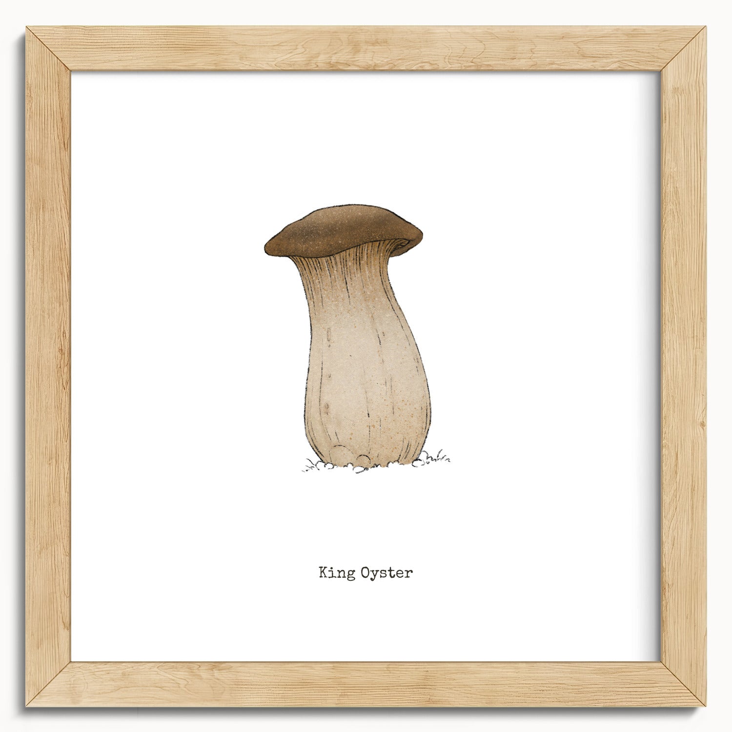 "King Oyster" by Catherine Hébert - King Oyster Mushroom - Botanical Art Print - 10"x10" size