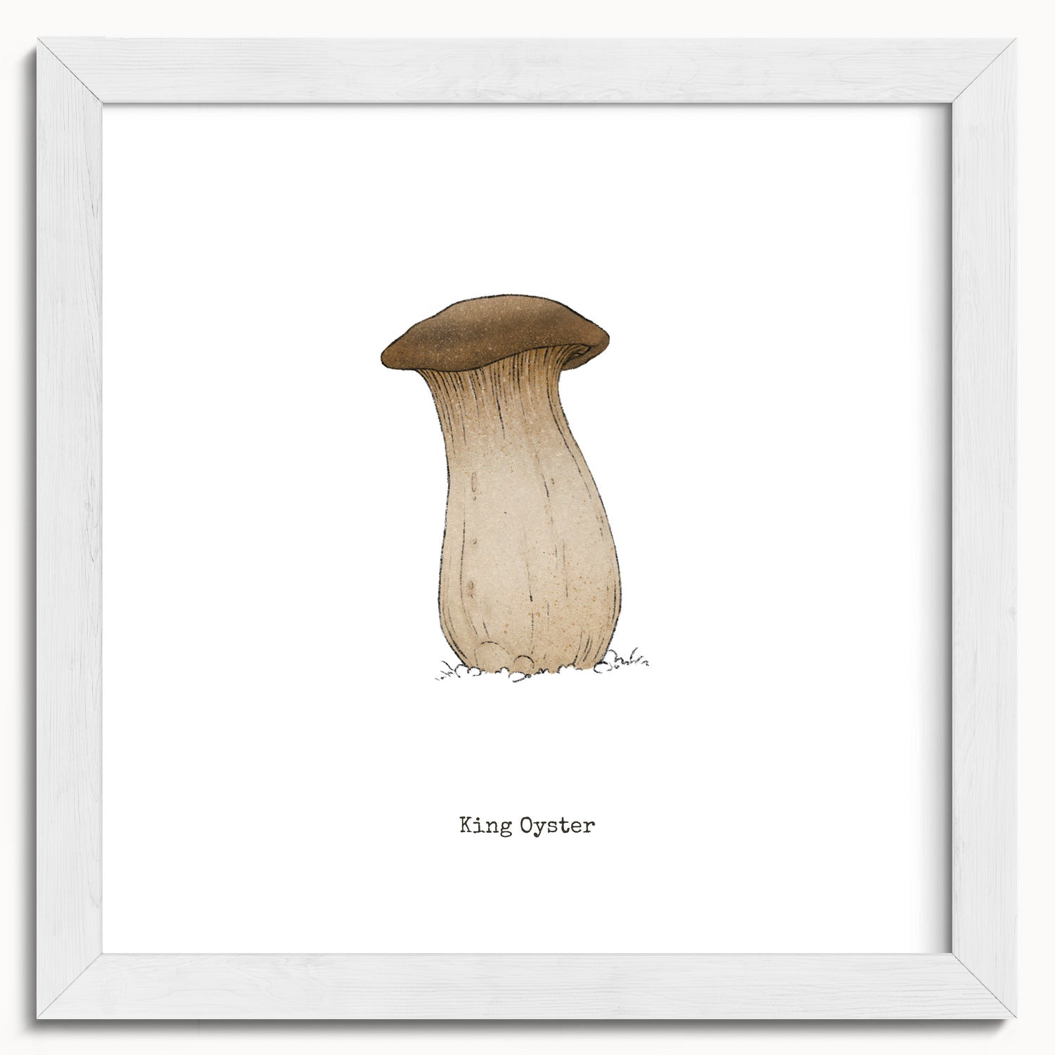 "King Oyster" by Catherine Hébert - King Oyster Mushroom - Botanical Art Print - 10"x10" size