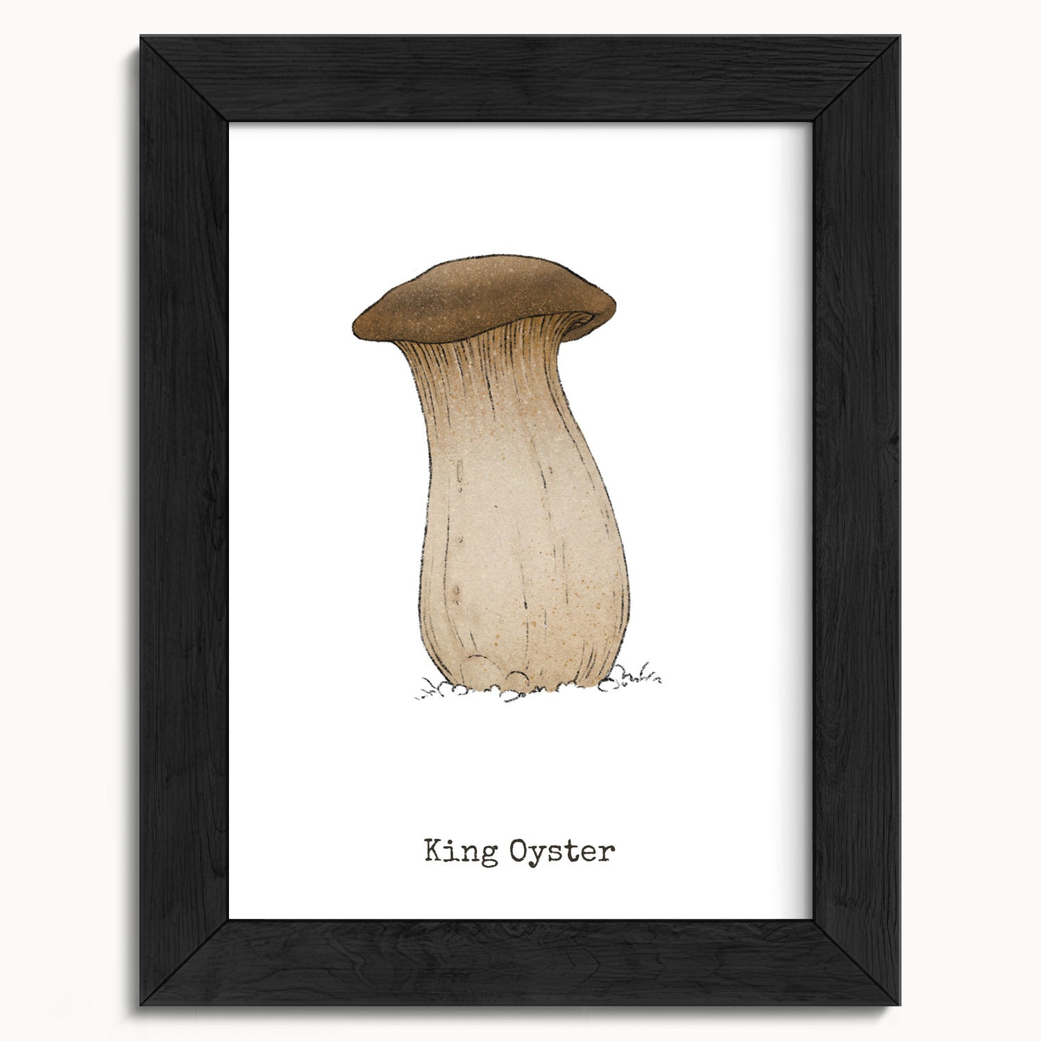 "King Oyster" by Catherine Hébert - King Oyster Mushroom - Botanical Art Print - 5"x7" size