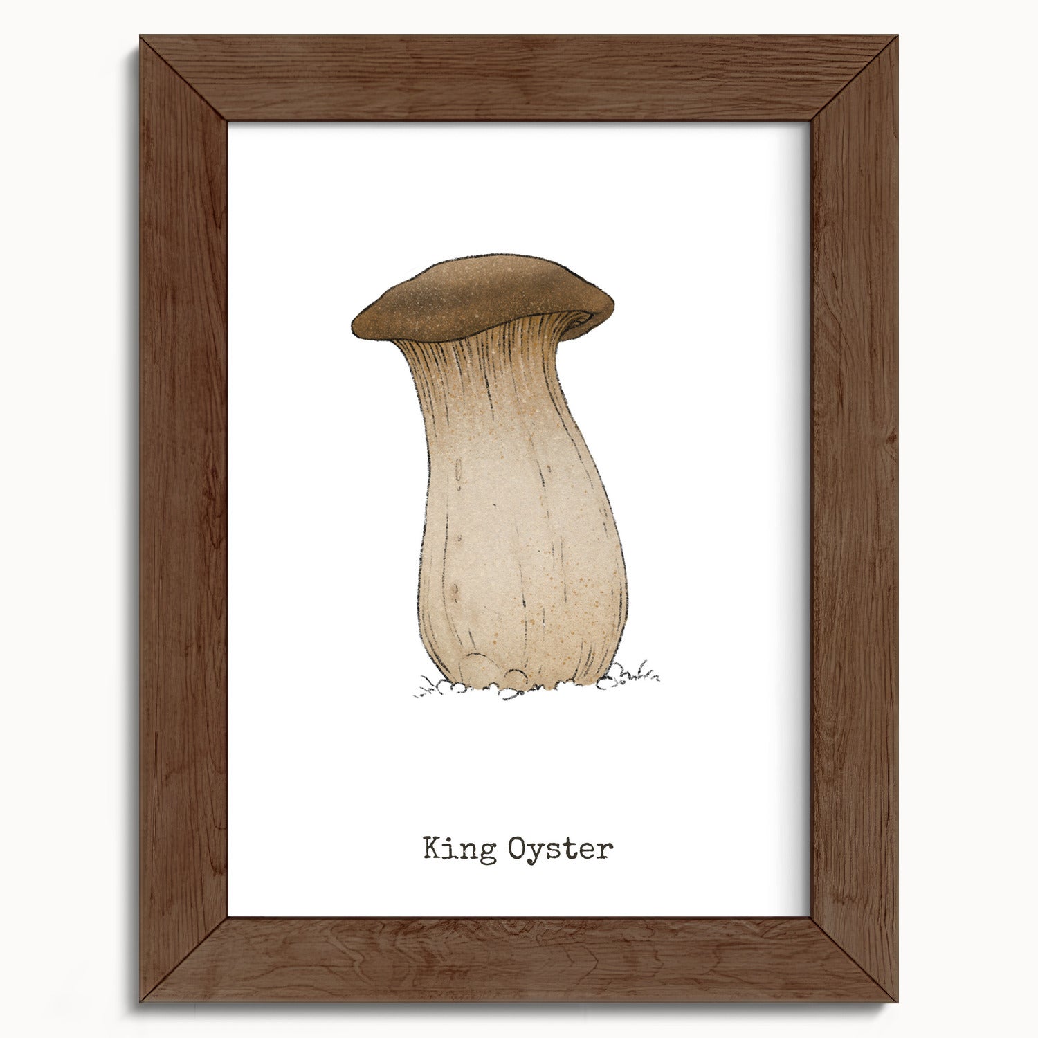"King Oyster" by Catherine Hébert - King Oyster Mushroom - Botanical Art Print - 5"x7" size