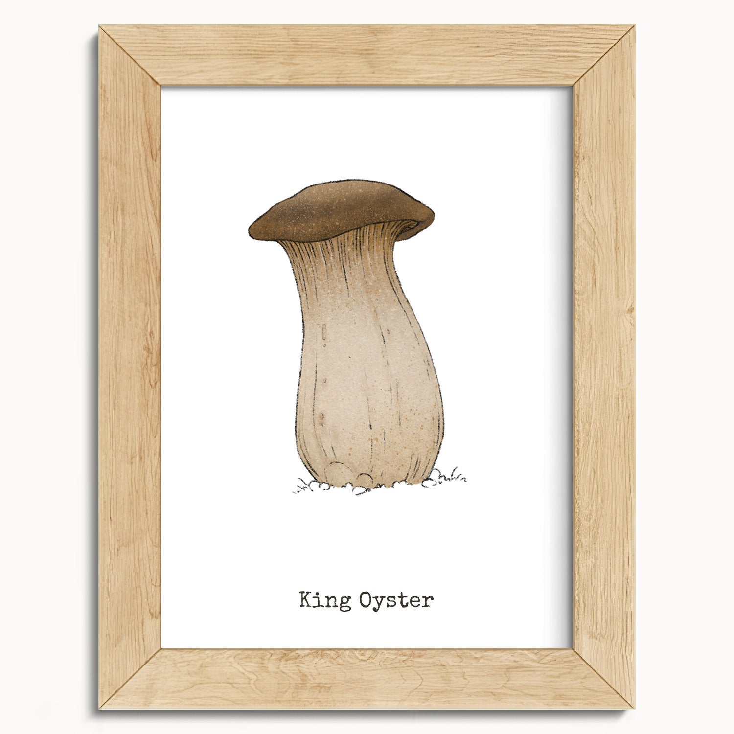 "King Oyster" by Catherine Hébert - King Oyster Mushroom - Botanical Art Print - 5"x7" size