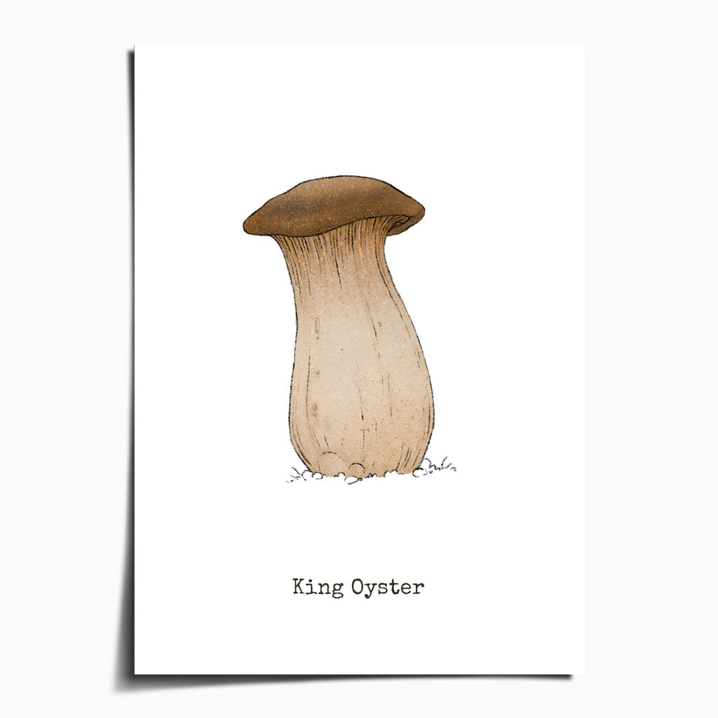 "King Oyster" by Catherine Hébert - King Oyster Mushroom Botanical Art Print - 5"x7" size