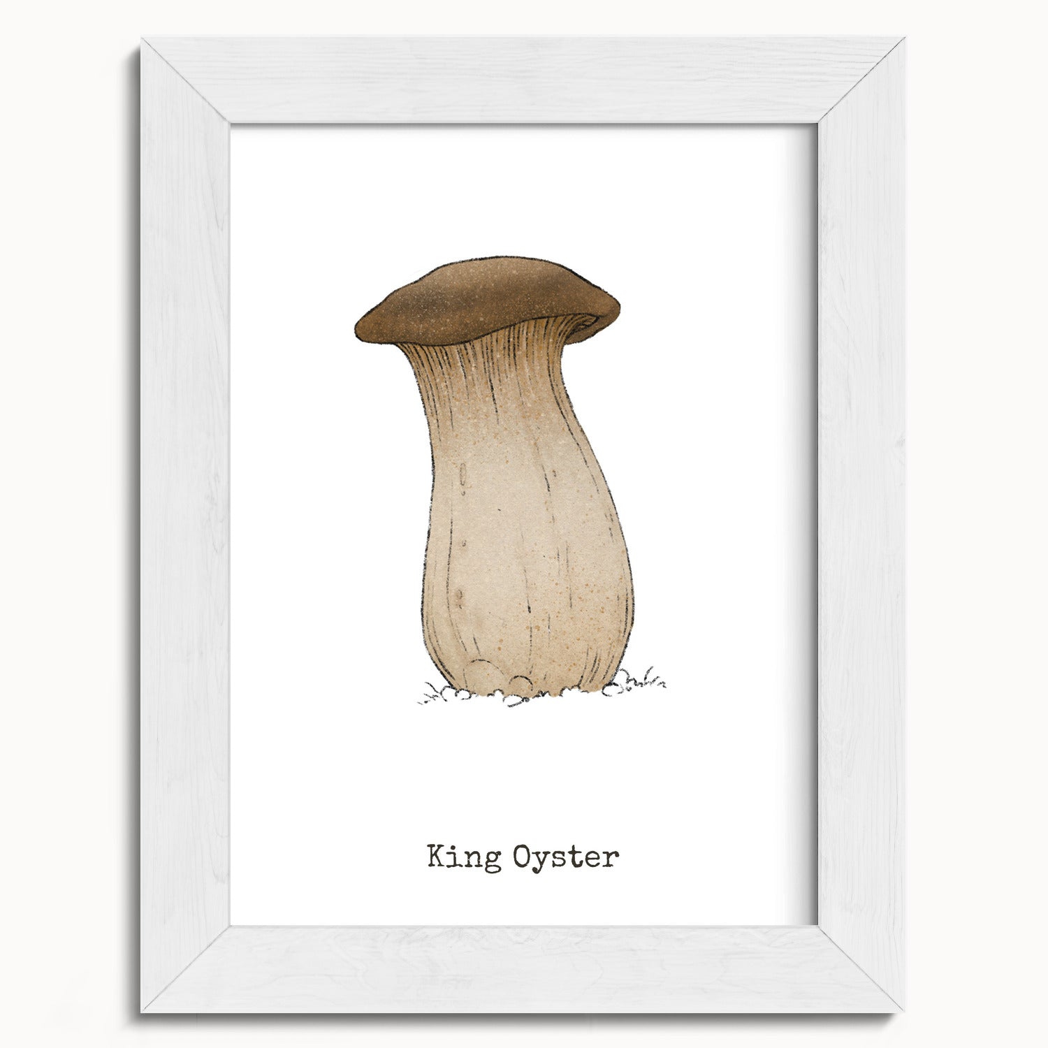 "King Oyster" by Catherine Hébert - King Oyster Mushroom - Botanical Art Print - 5"x7" size