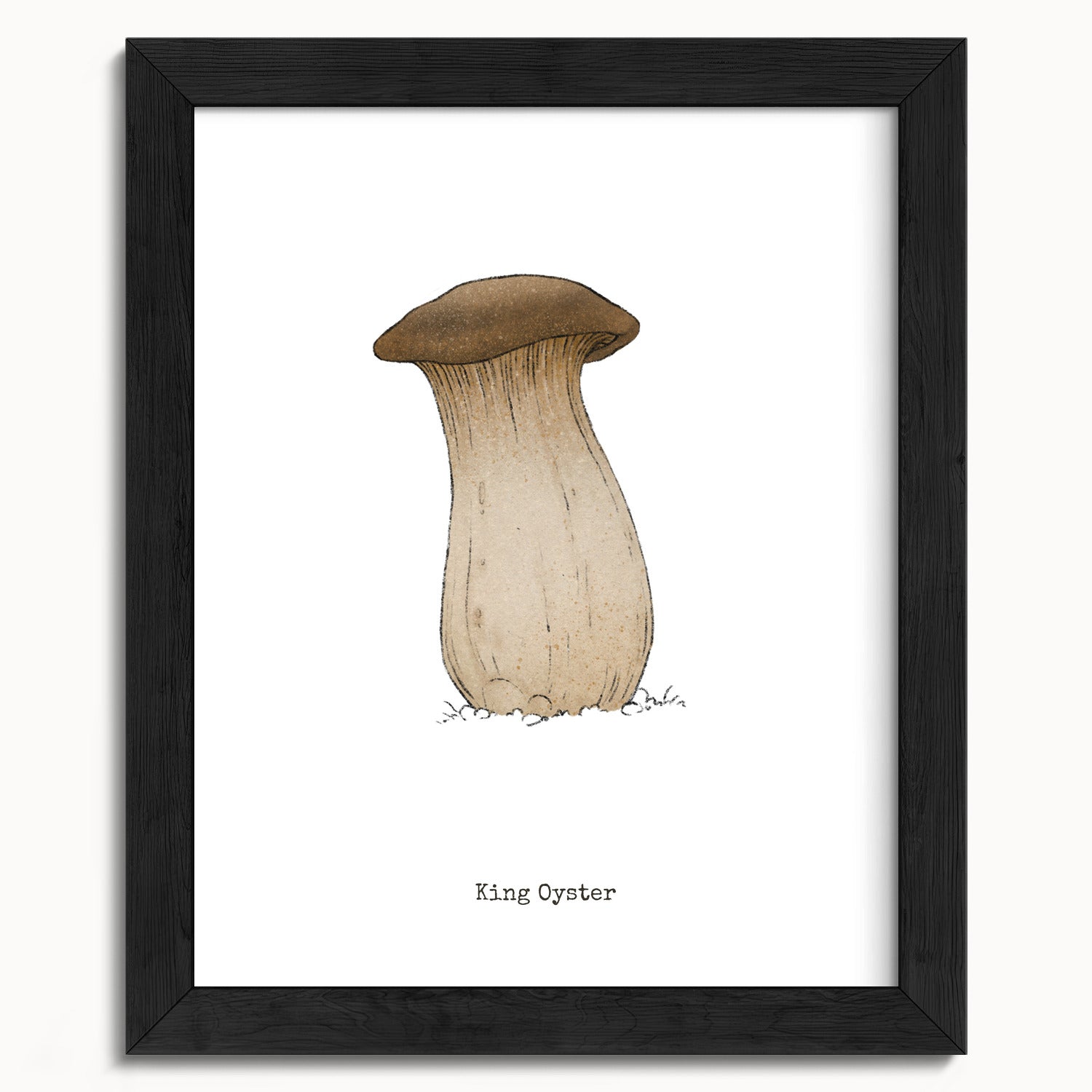 "King Oyster" by Catherine Hébert - King Oyster Mushroom - Botanical Art Print - 8"x10" size