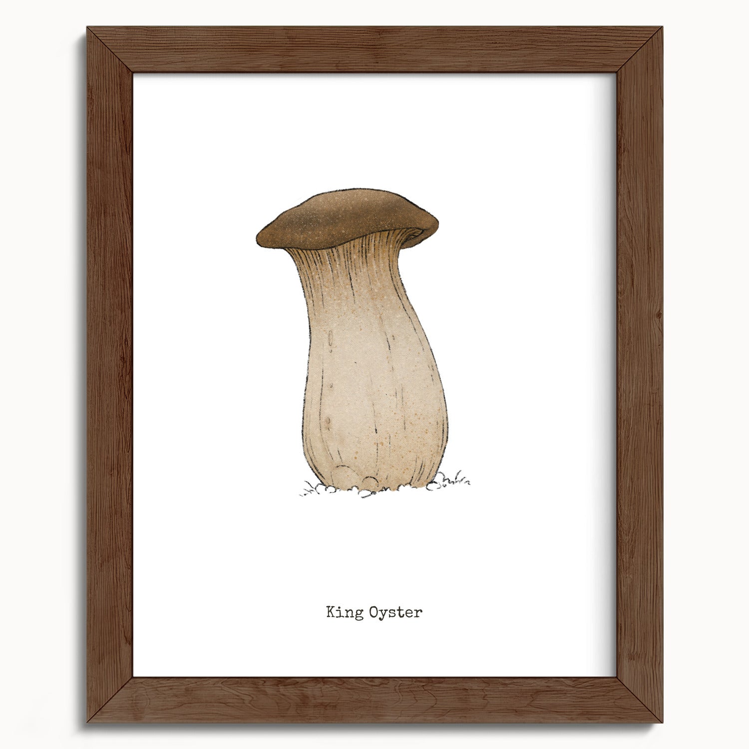 "King Oyster" by Catherine Hébert - King Oyster Mushroom - Botanical Art Print - 8"x10" size