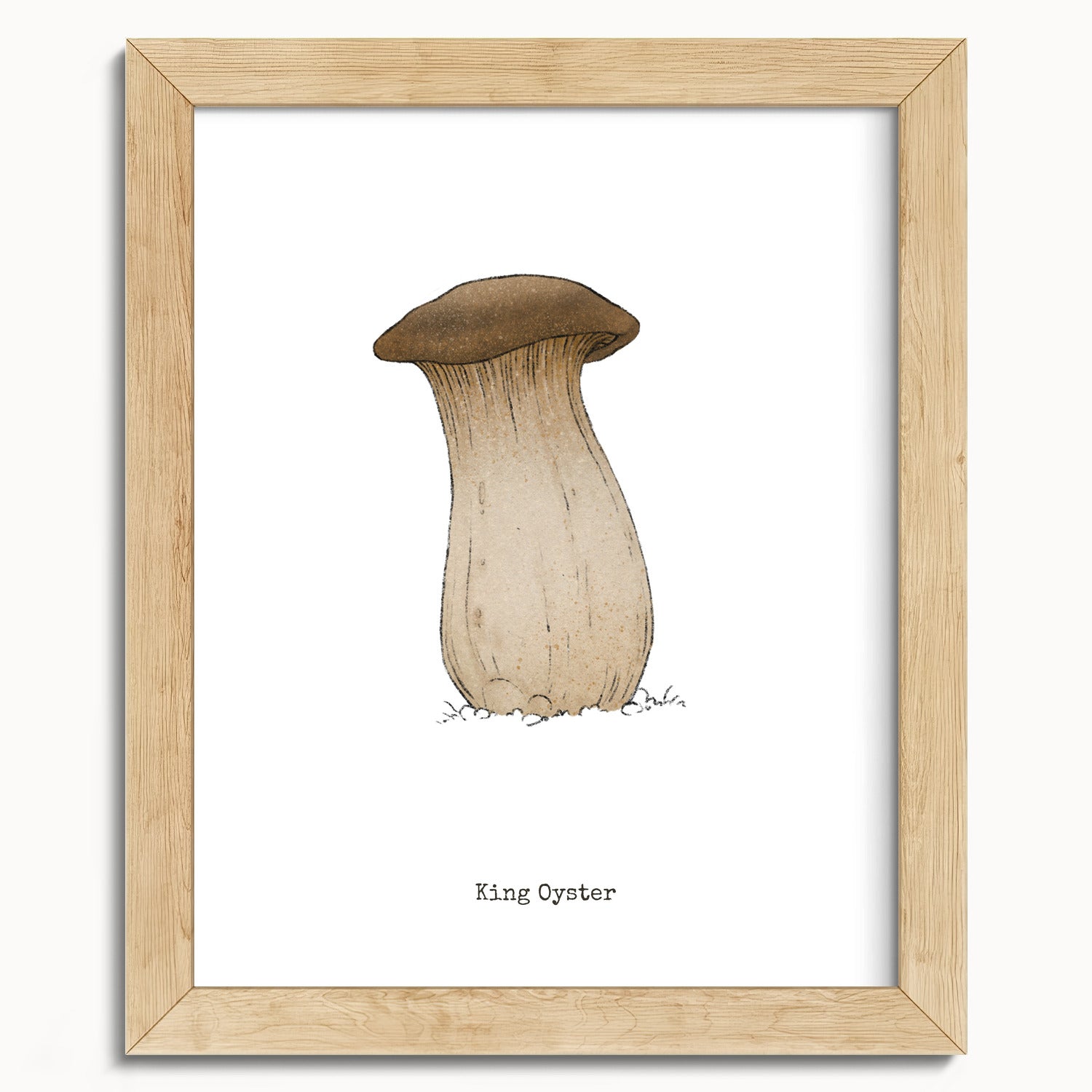 "King Oyster" by Catherine Hébert - King Oyster Mushroom - Botanical Art Print - 8"x10" size