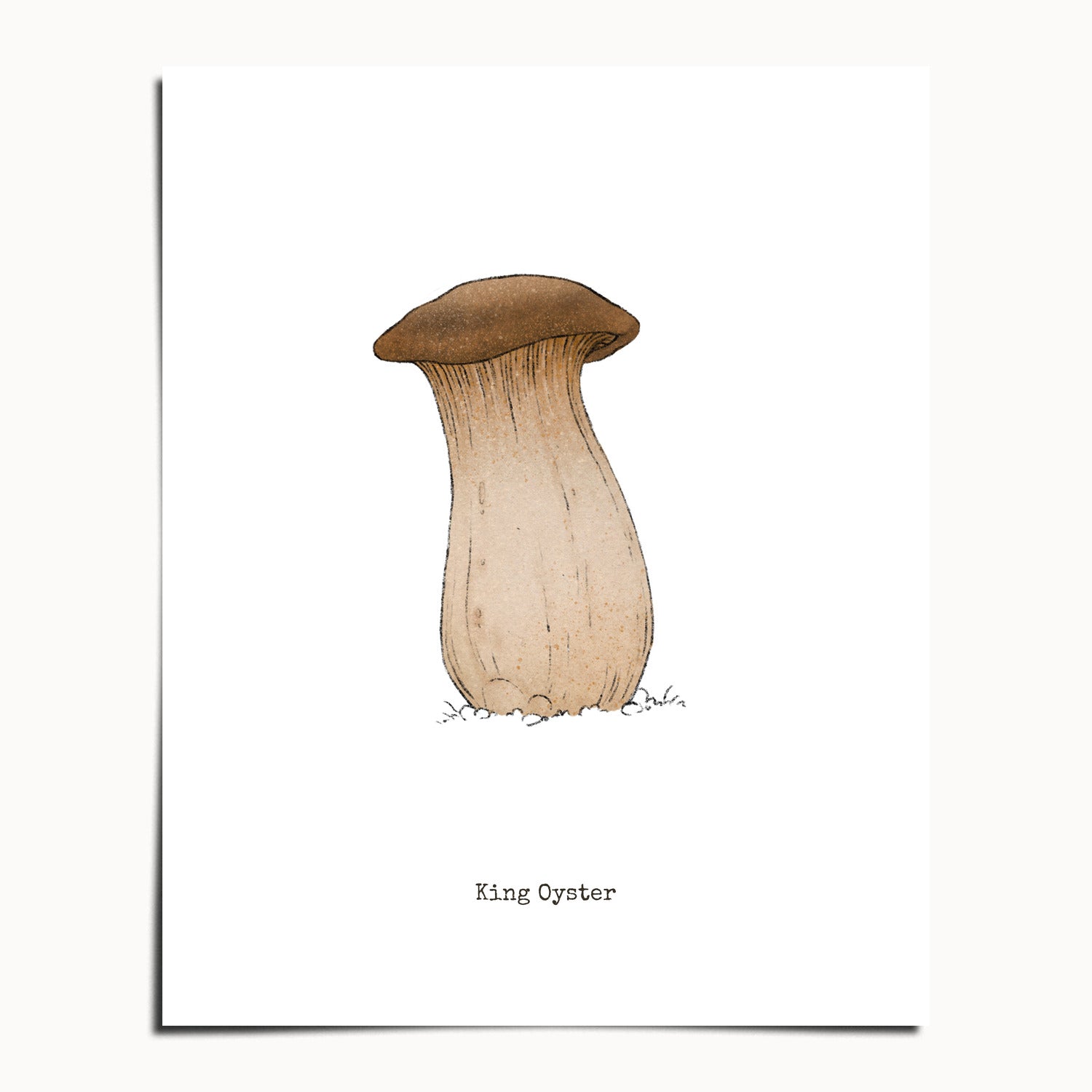 "King Oyster" by Catherine Hébert - King Oyster Mushroom - Botanical Art Print - 24"x30" size