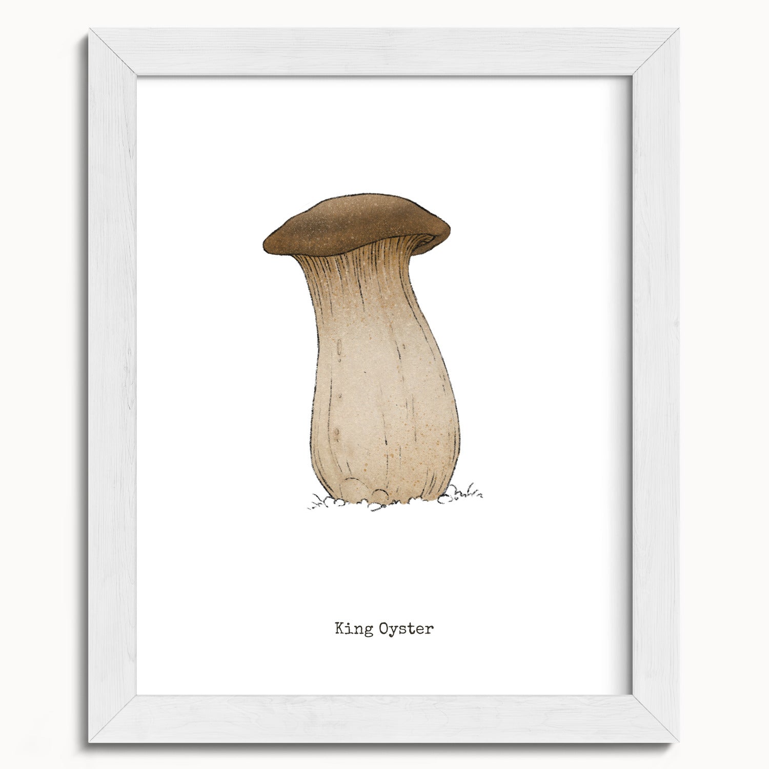 "King Oyster" by Catherine Hébert - King Oyster Mushroom - Botanical Art Print - 8"x10" size
