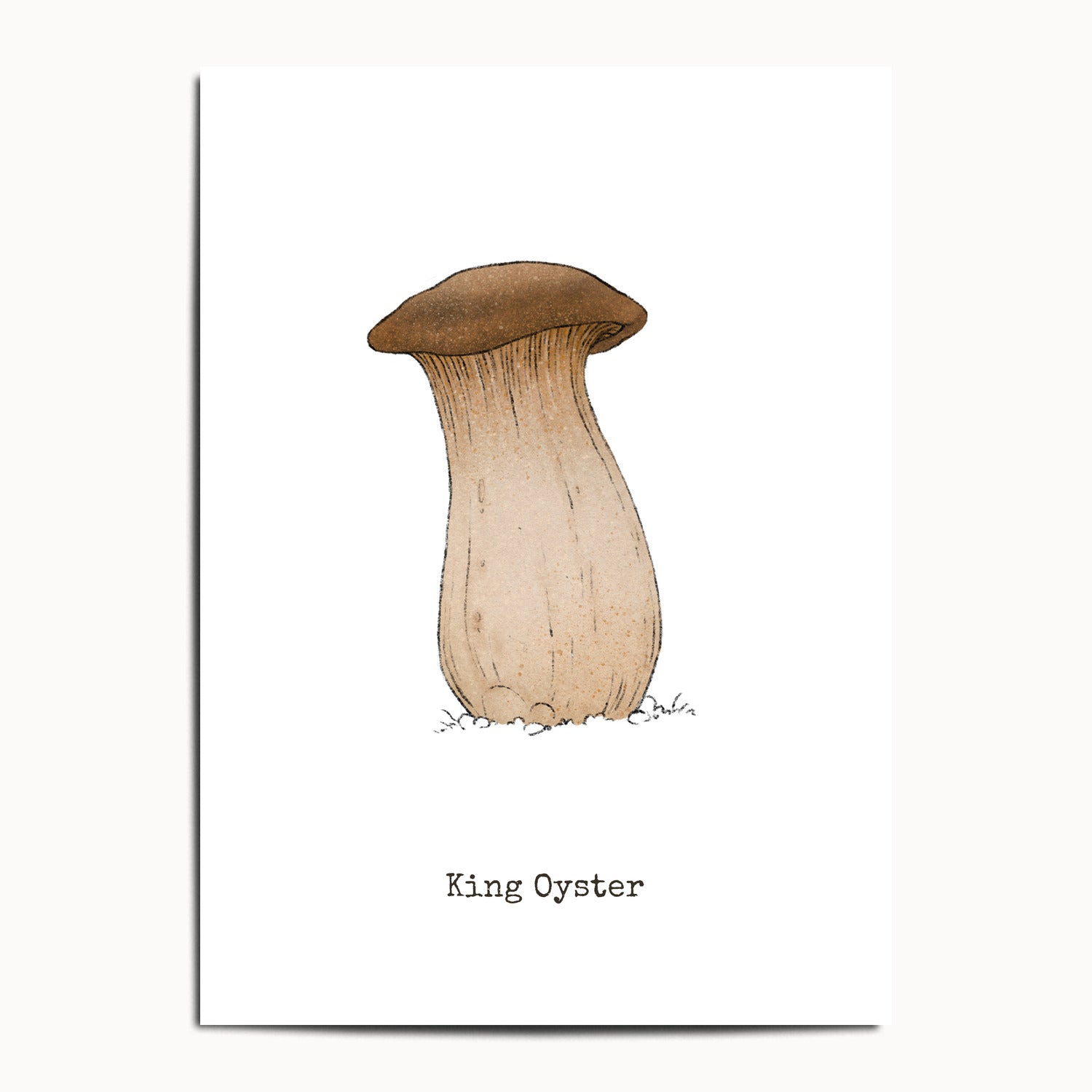 "King Oyster" by Catherine Hébert - King Oyster Mushroom - Botanical Art Print - 13"x18" size
