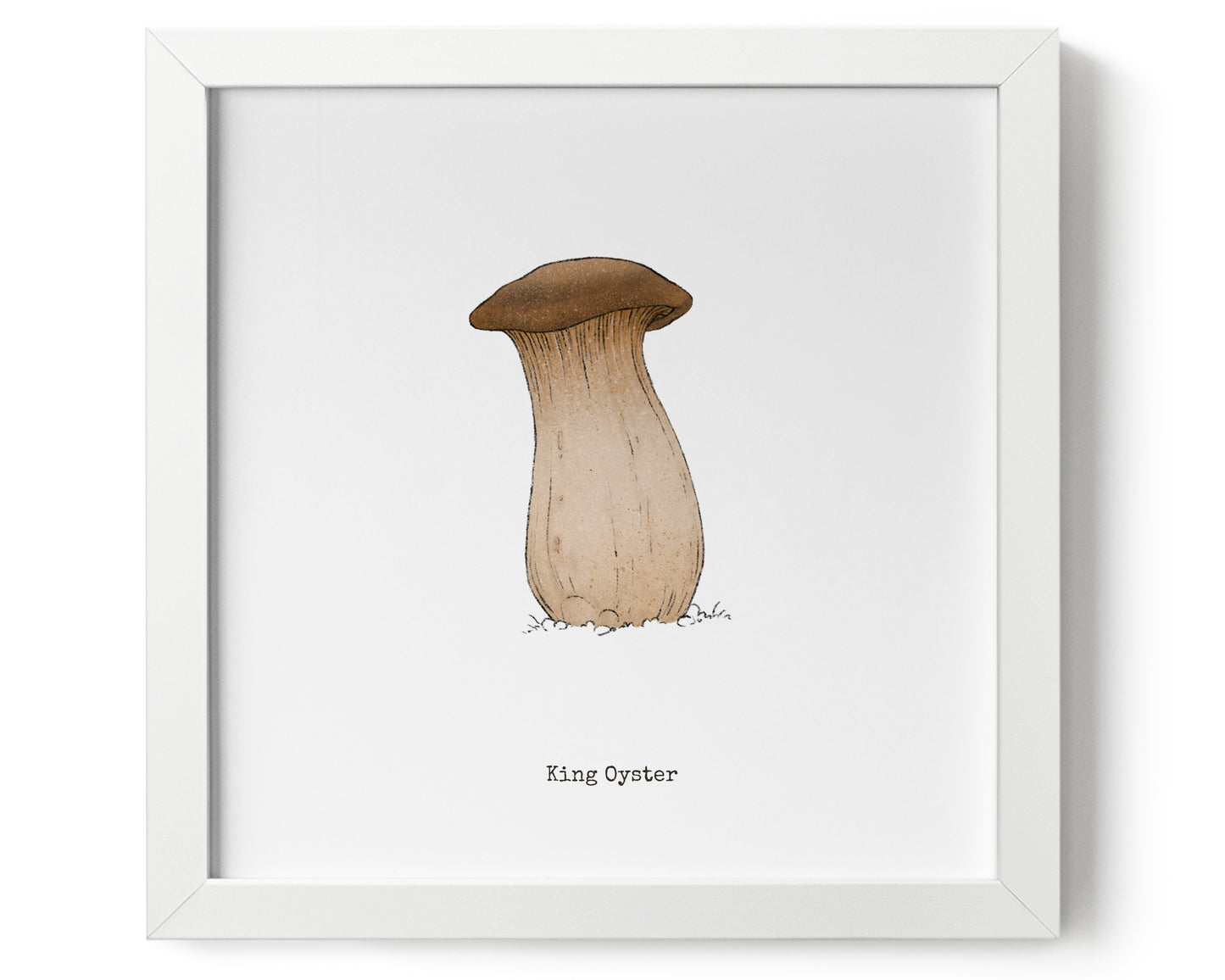 "King Oyster" by Catherine Hébert - King Oyster Mushroom Art Print - 9"x9" size