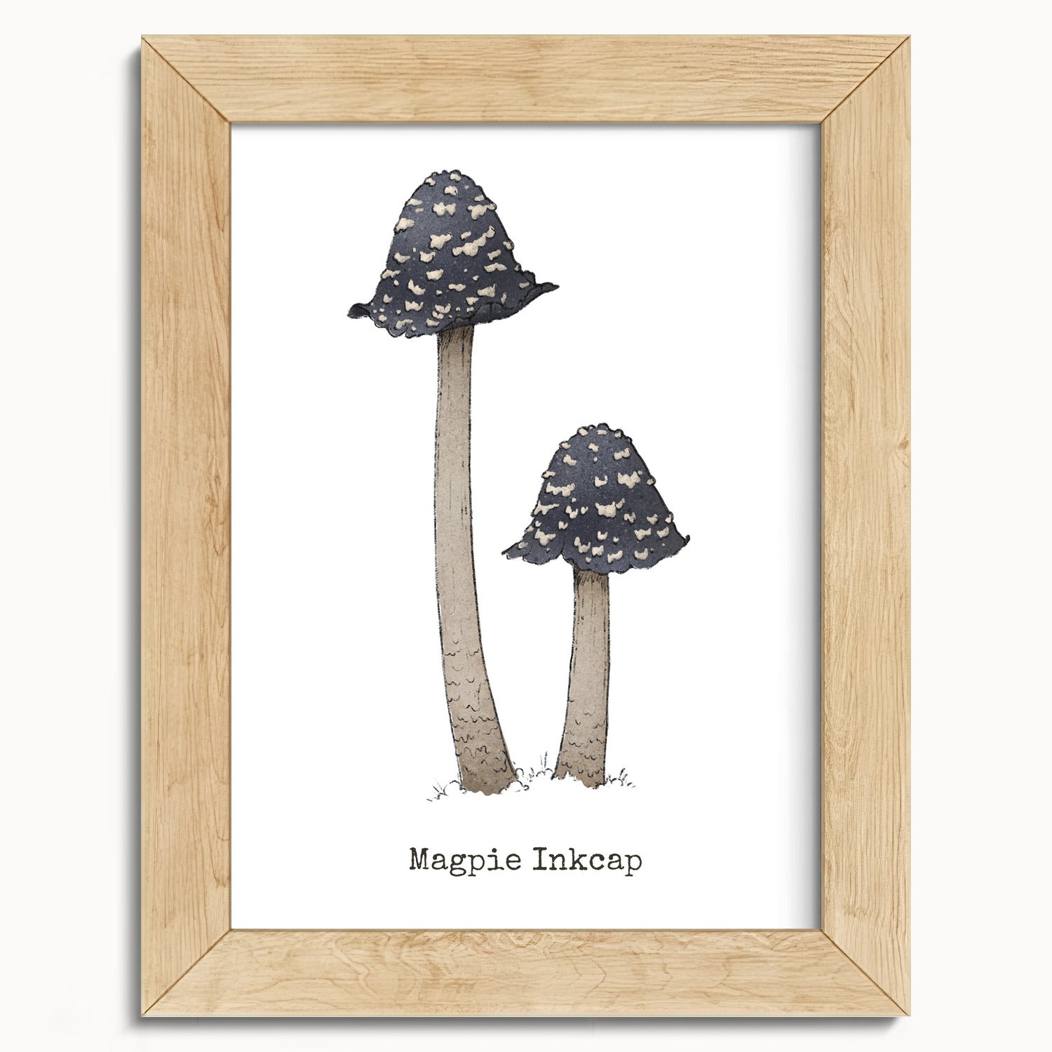 "Magpie Inkcap" by Catherine Hébert - Magpie Inkcap Mushroom - Botanical Art Print - 5"x7" size