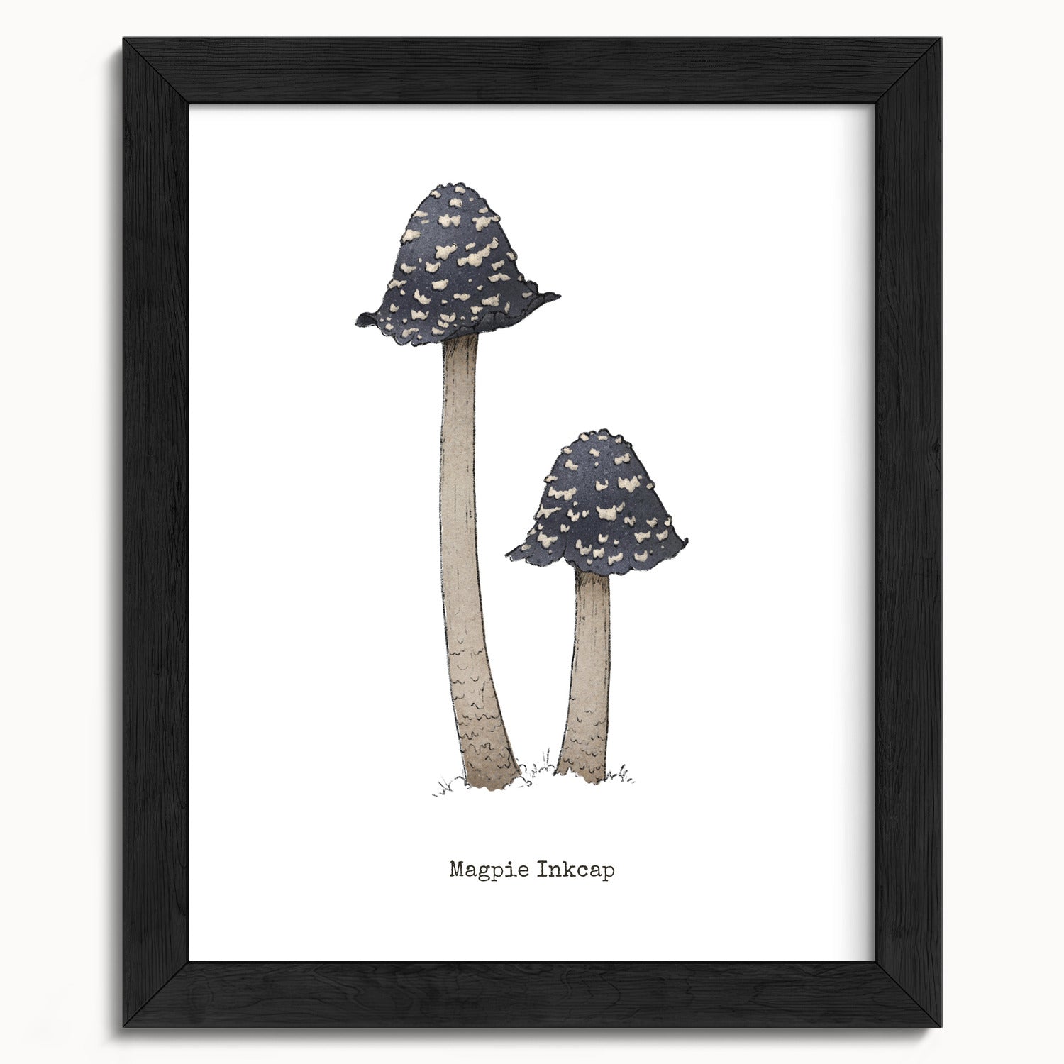 "Magpie Inkcap" by Catherine Hébert - Magpie Inkcap Mushroom - Botanical Art Print - 8"x10" size