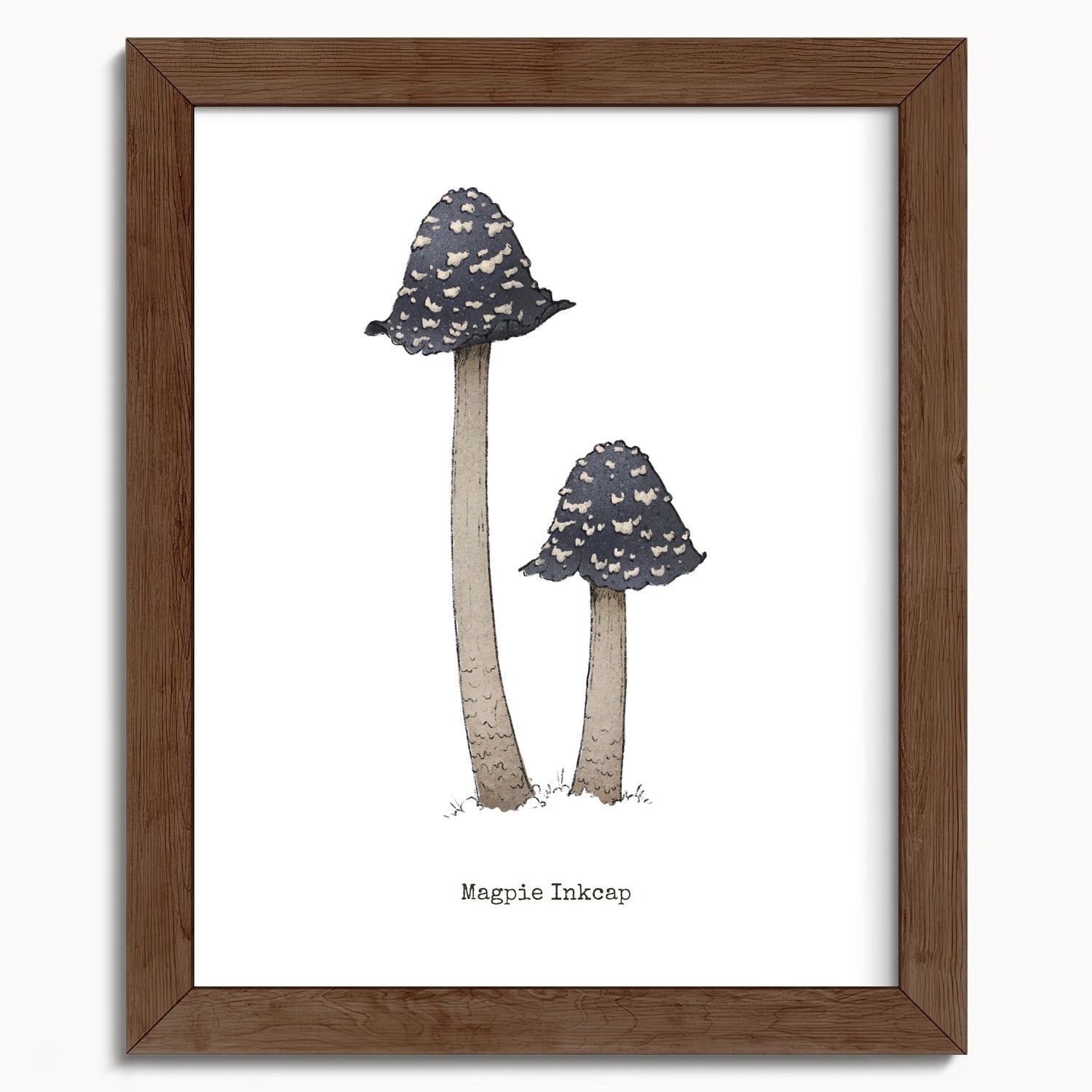 "Magpie Inkcap" by Catherine Hébert - Magpie Inkcap Mushroom - Botanical Art Print - 8"x10" size