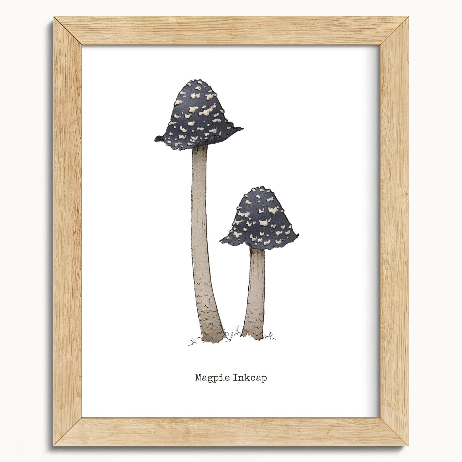 "Magpie Inkcap" by Catherine Hébert - Magpie Inkcap Mushroom - Botanical Art Print - 8"x10" size
