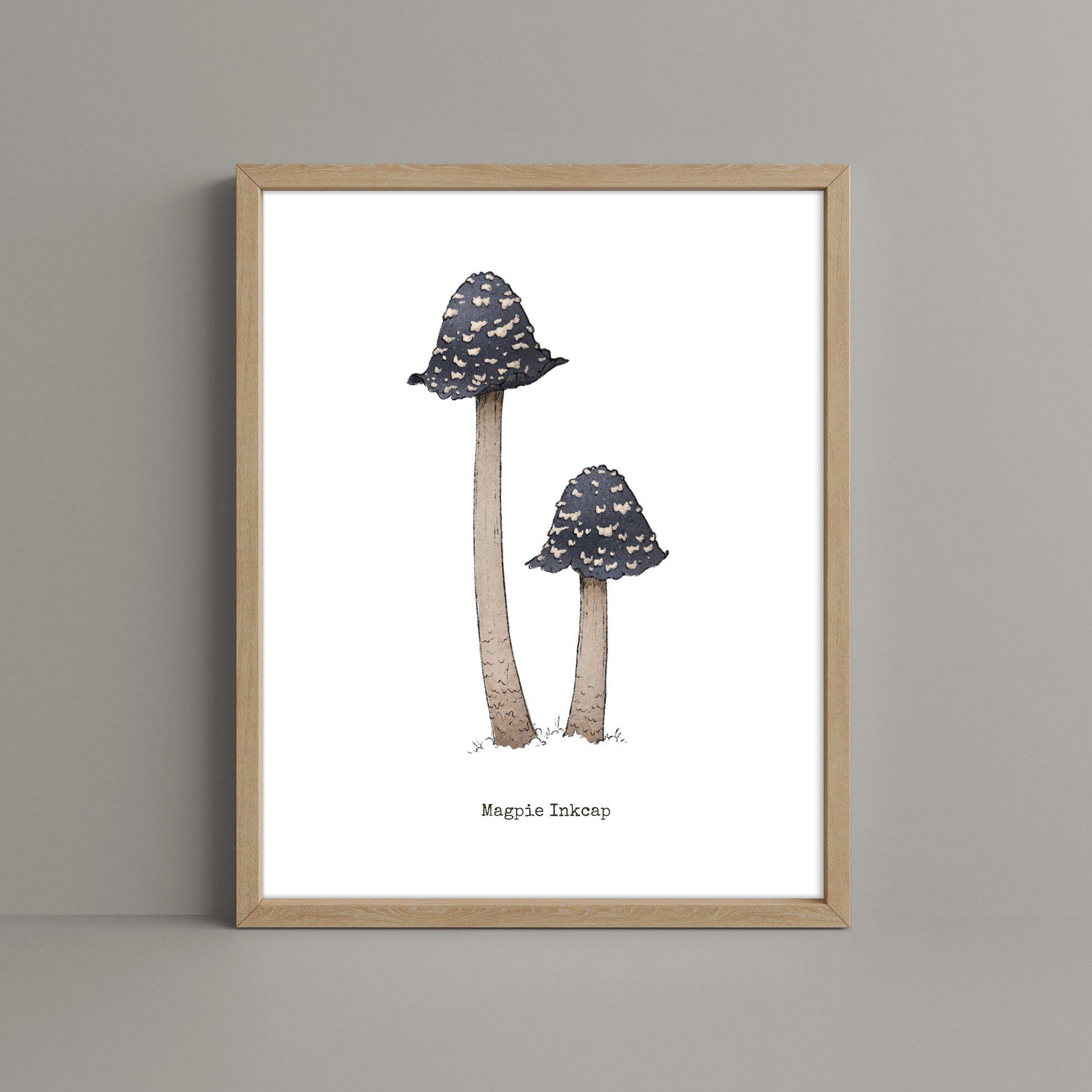 "Mushroom Set 3" by Catherine Hébert - Bundle of Three Mushroom Prints