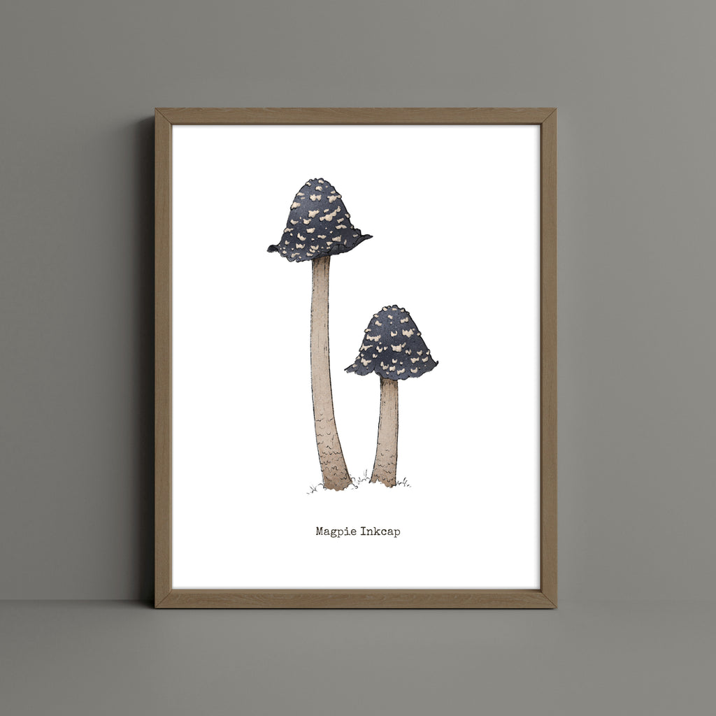 "Magpie Inkcap" by Catherine Hébert - Magpie Inkcap Mushroom - Botanical Art Print