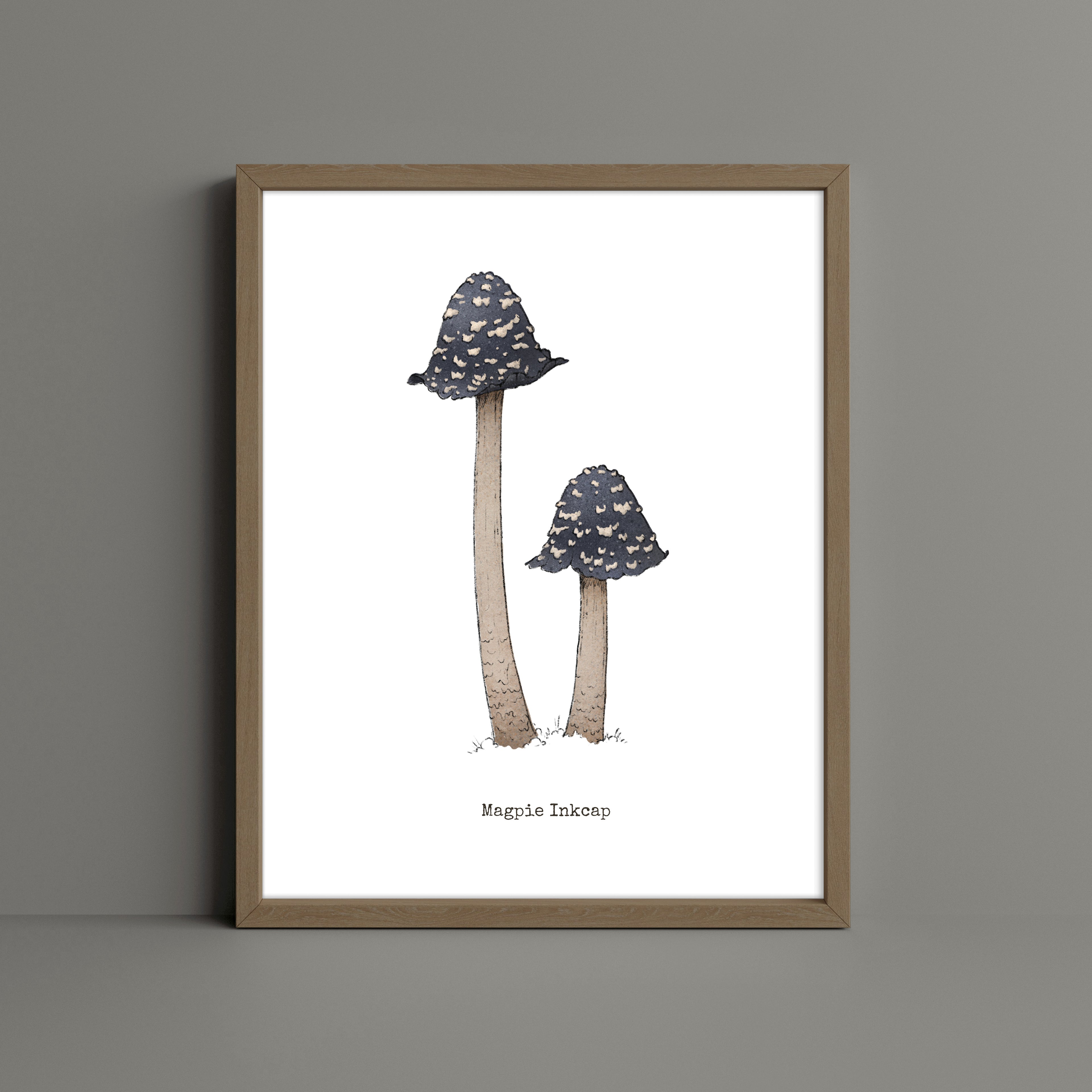 "Magpie Inkcap" by Catherine Hébert - Magpie Inkcap Mushroom - Botanical Art Print – Floral, Nature Wall Art – Living Room, Kitchen Decor