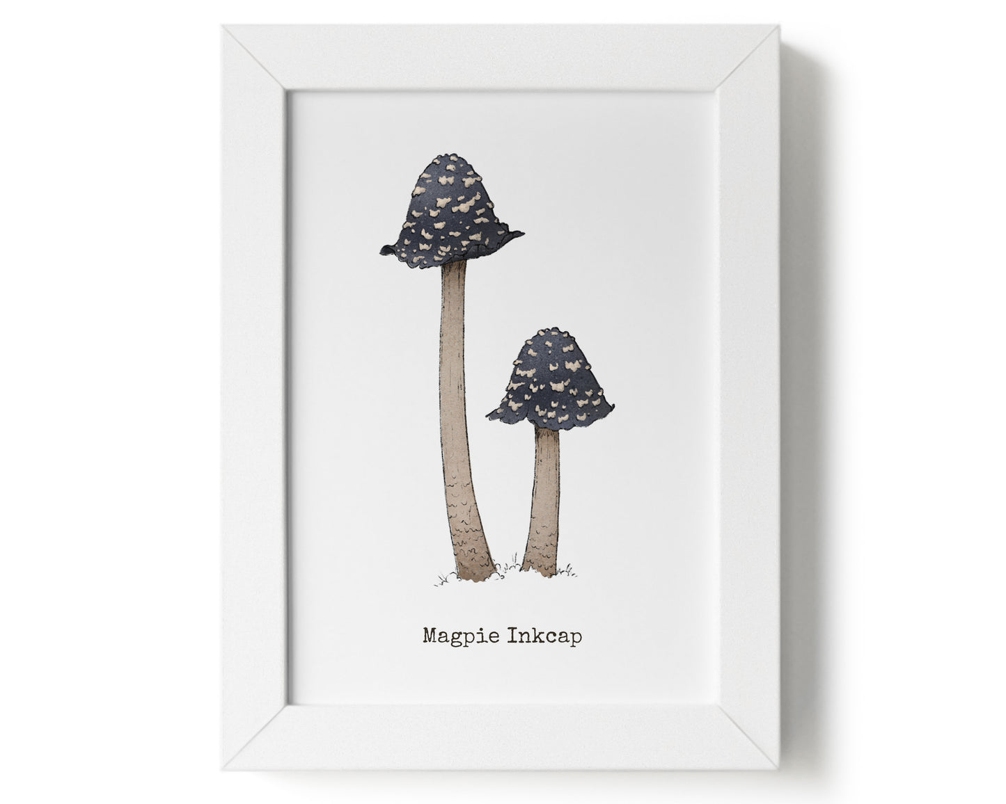 "Magpie Inkcap" by Catherine Hébert - Magpie Inkcap Mushroom Art Print - 5"x7" size