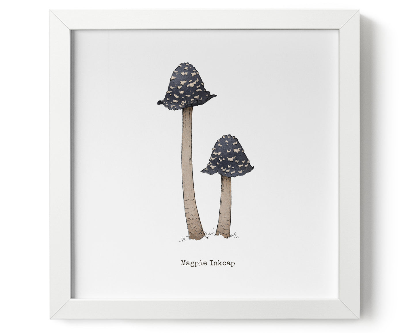 "Magpie Inkcap" by Catherine Hébert - Magpie Inkcap Mushroom Art Print - 9"x9" size