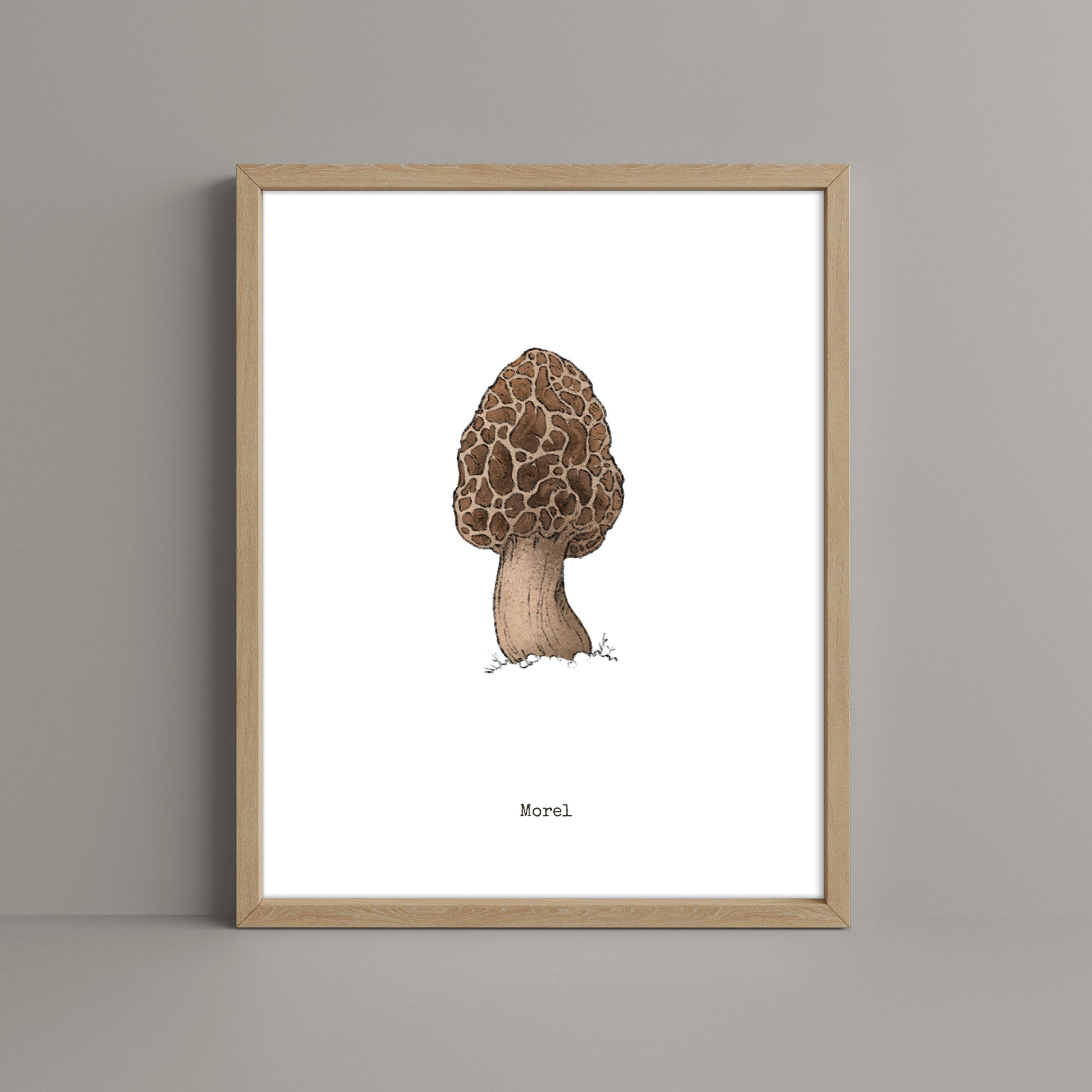 "Mushroom Set 1" by Catherine Hébert - Bundle of Three Mushroom Prints