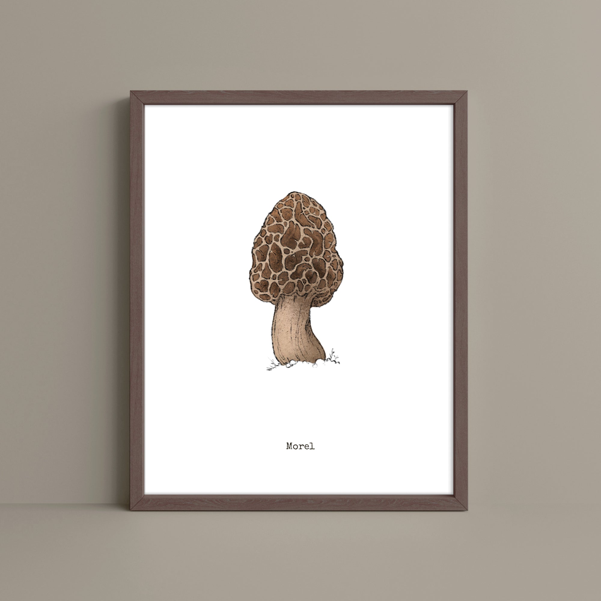 "Morel Mushroom" by Catherine Hébert - Morel Mushroom - Botanical Art Print