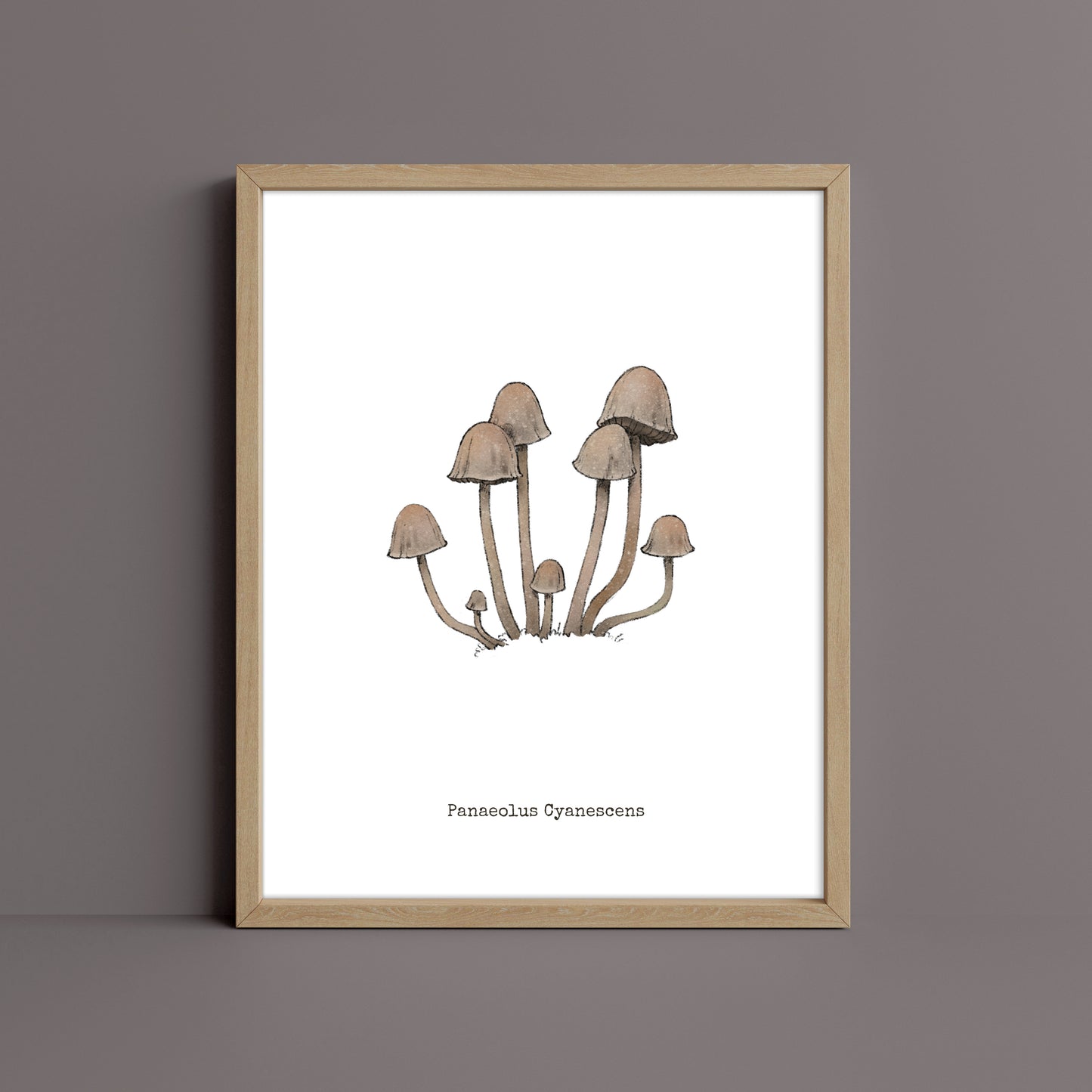 "Panaeolus Cyanescens" by Catherine Hébert - Panaeolus Cyanescens Mushroom Art Print