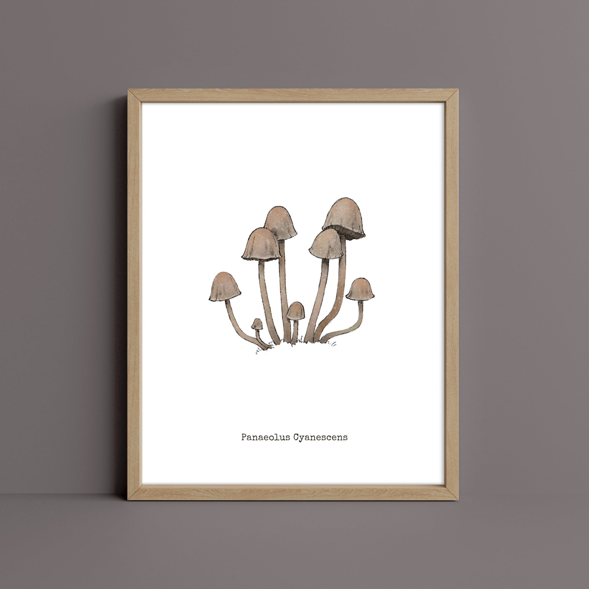 "Panaeolus Cyanescens" by Catherine Hébert - Panaeolus Cyanescens Mushroom - Botanical Art Print