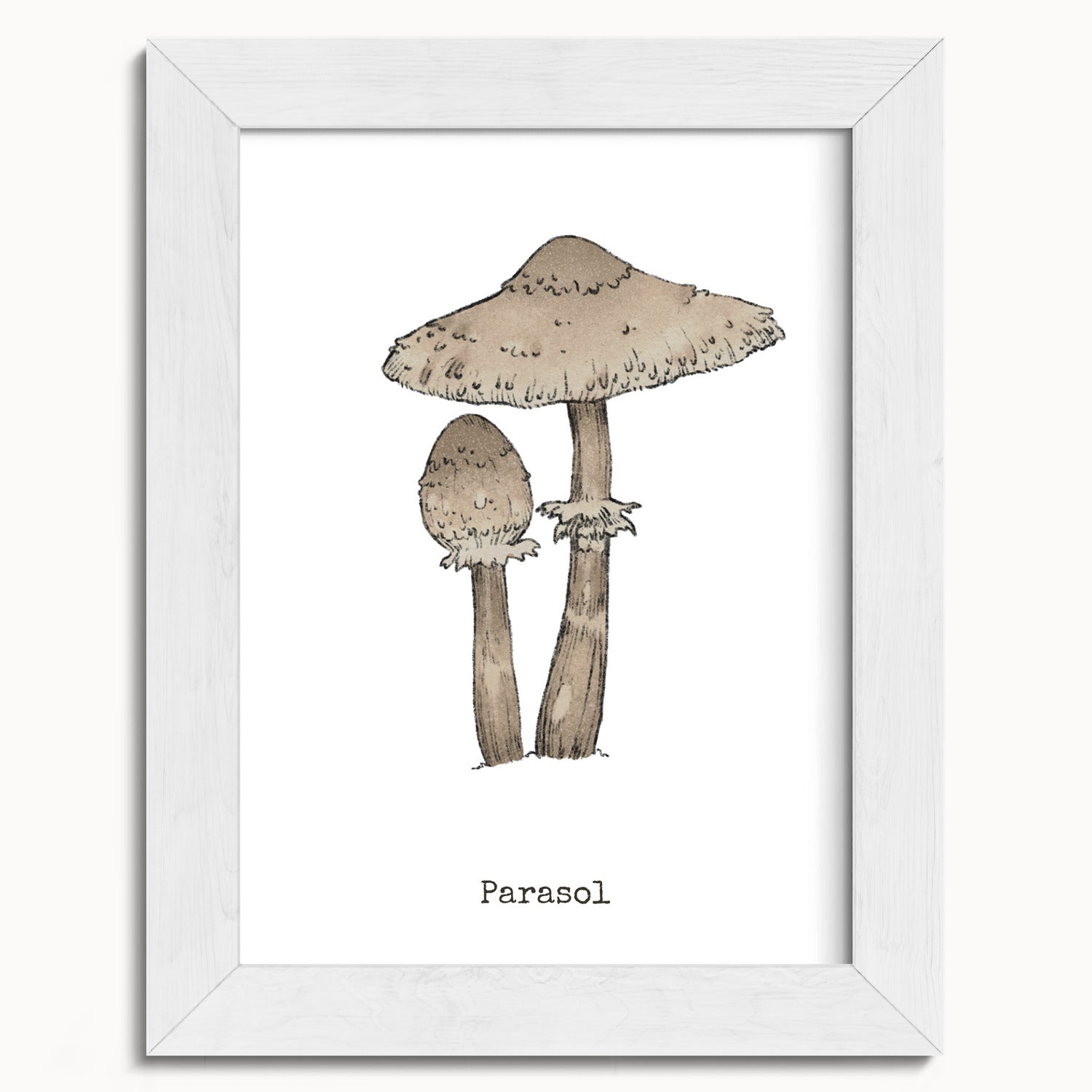 "Parasol Mushroom" by Catherine Hébert - Parasol Mushroom - Botanical Art Print - 5"x7" size
