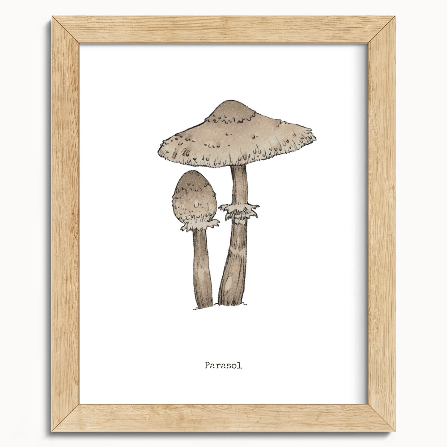 "Parasol Mushroom" by Catherine Hébert - Parasol Mushroom - Botanical Art Print - 8"x10" size