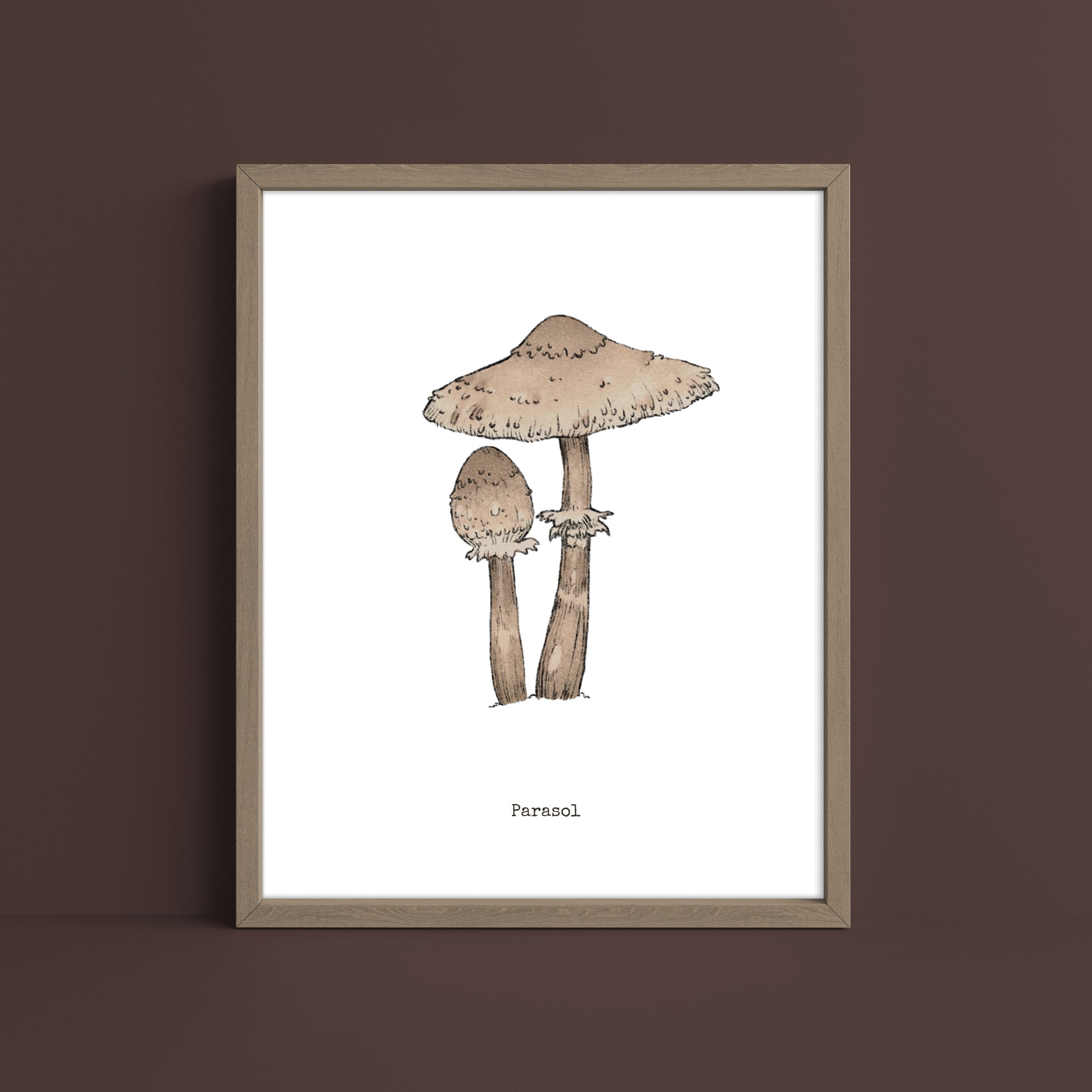"Parasol Mushroom" by Catherine Hébert - Parasol Mushroom - Botanical Art Print
