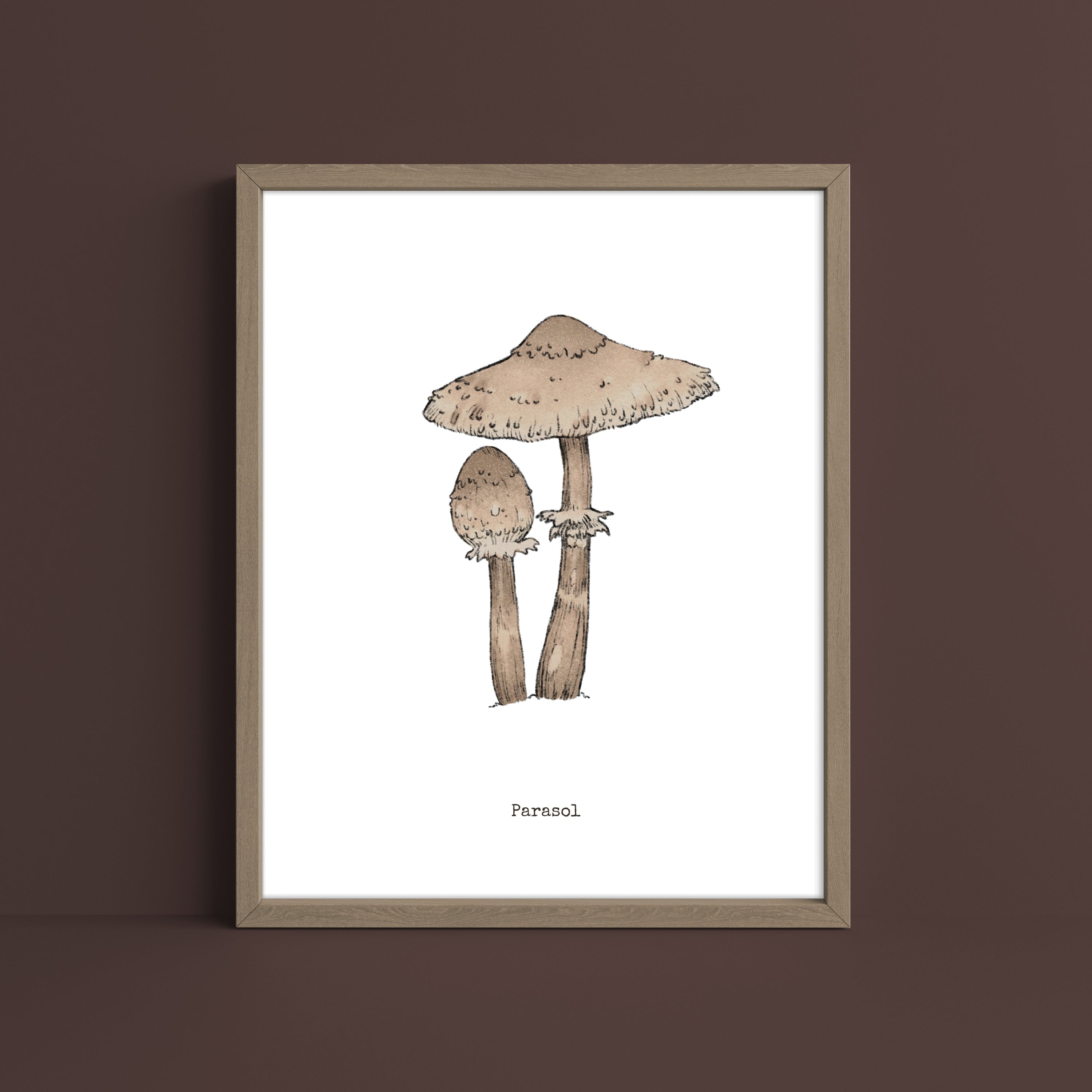 "Parasol Mushroom" by Catherine Hébert - Parasol Mushroom Art Print