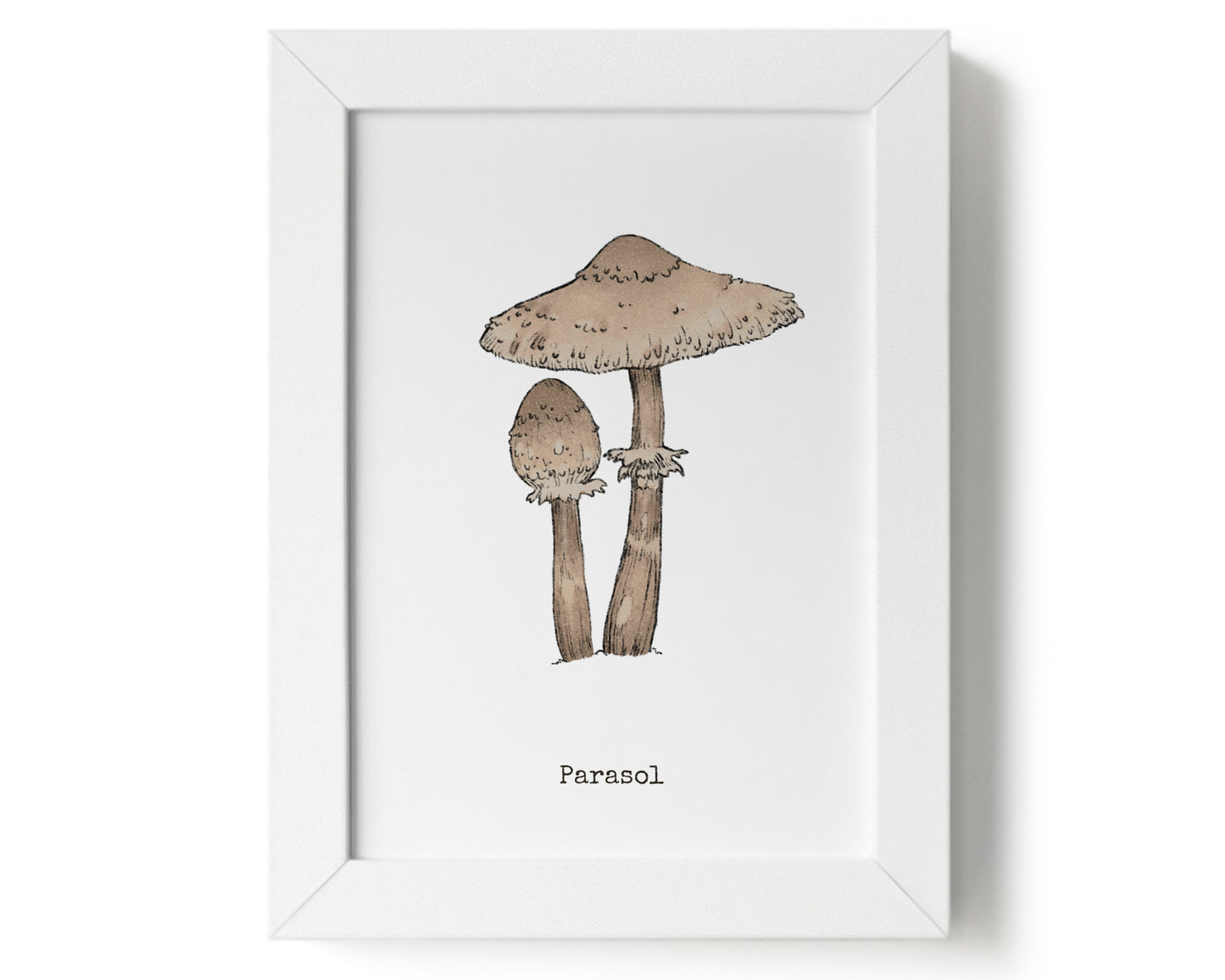 "Parasol Mushroom" by Catherine Hébert - Parasol Mushroom Art Print - 0"x0" size
