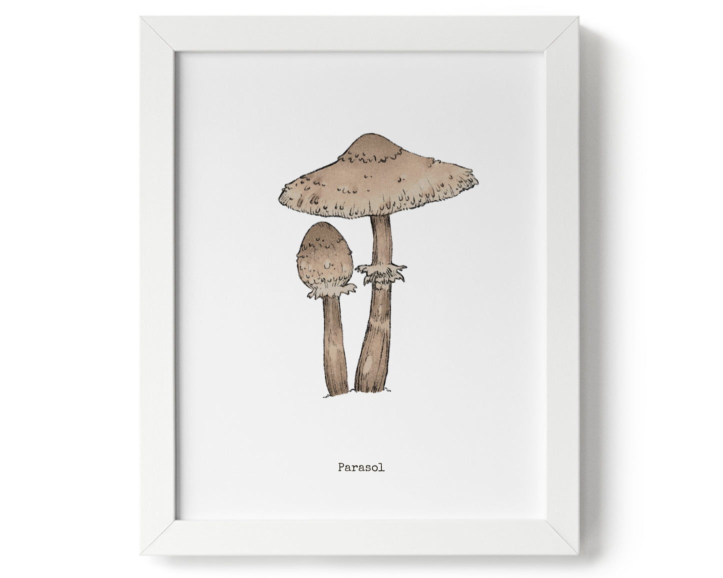 "Parasol Mushroom" by Catherine Hébert - Parasol Mushroom Art Print - 8"x10" size