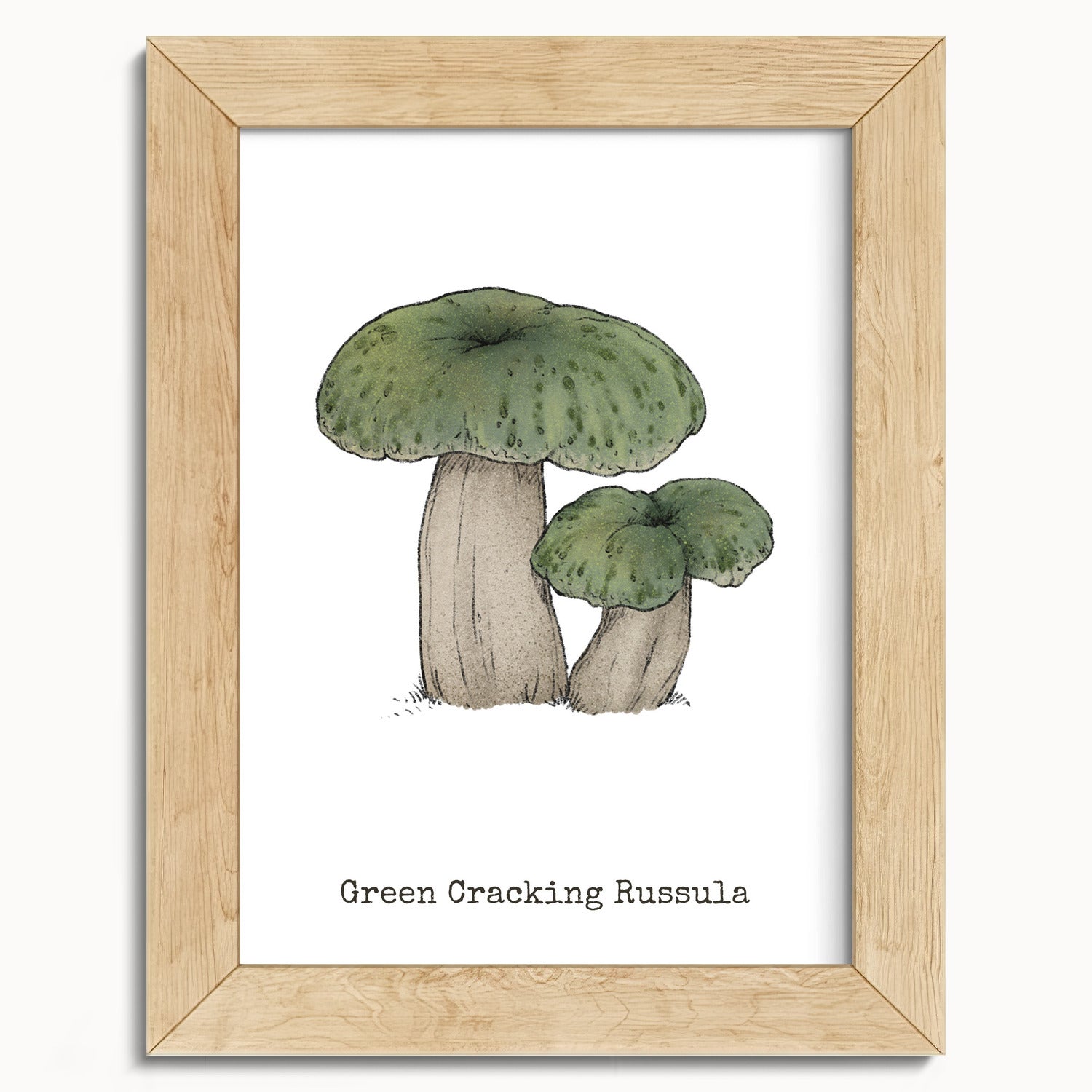 "Green Crackling Russula" by Catherine Hébert - Green Crackling Russula Mushroom  - Botanical Art Print - 5"x7" size
