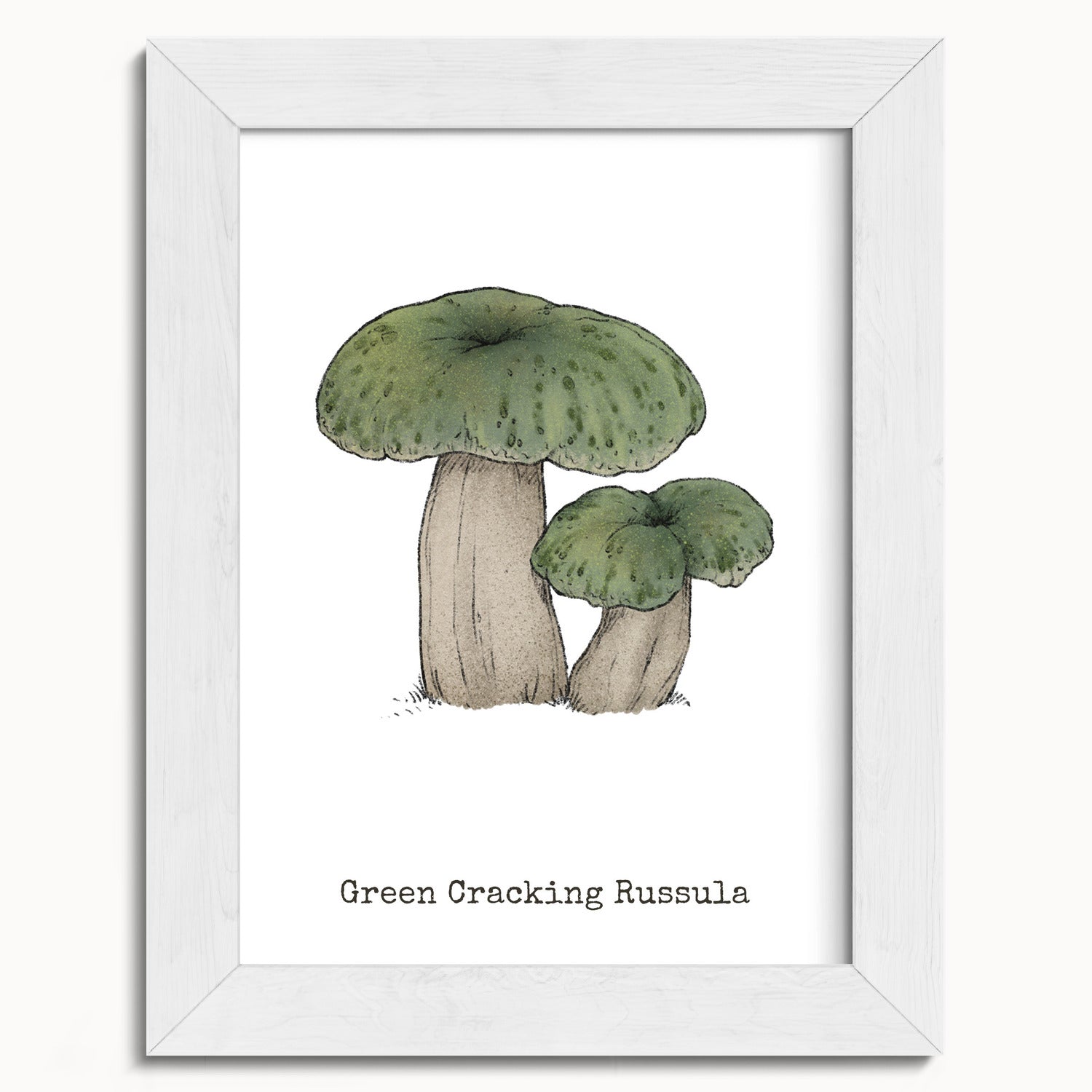 "Green Crackling Russula" by Catherine Hébert - Green Crackling Russula Mushroom  - Botanical Art Print - 5"x7" size