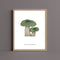 Green Crackling Russula