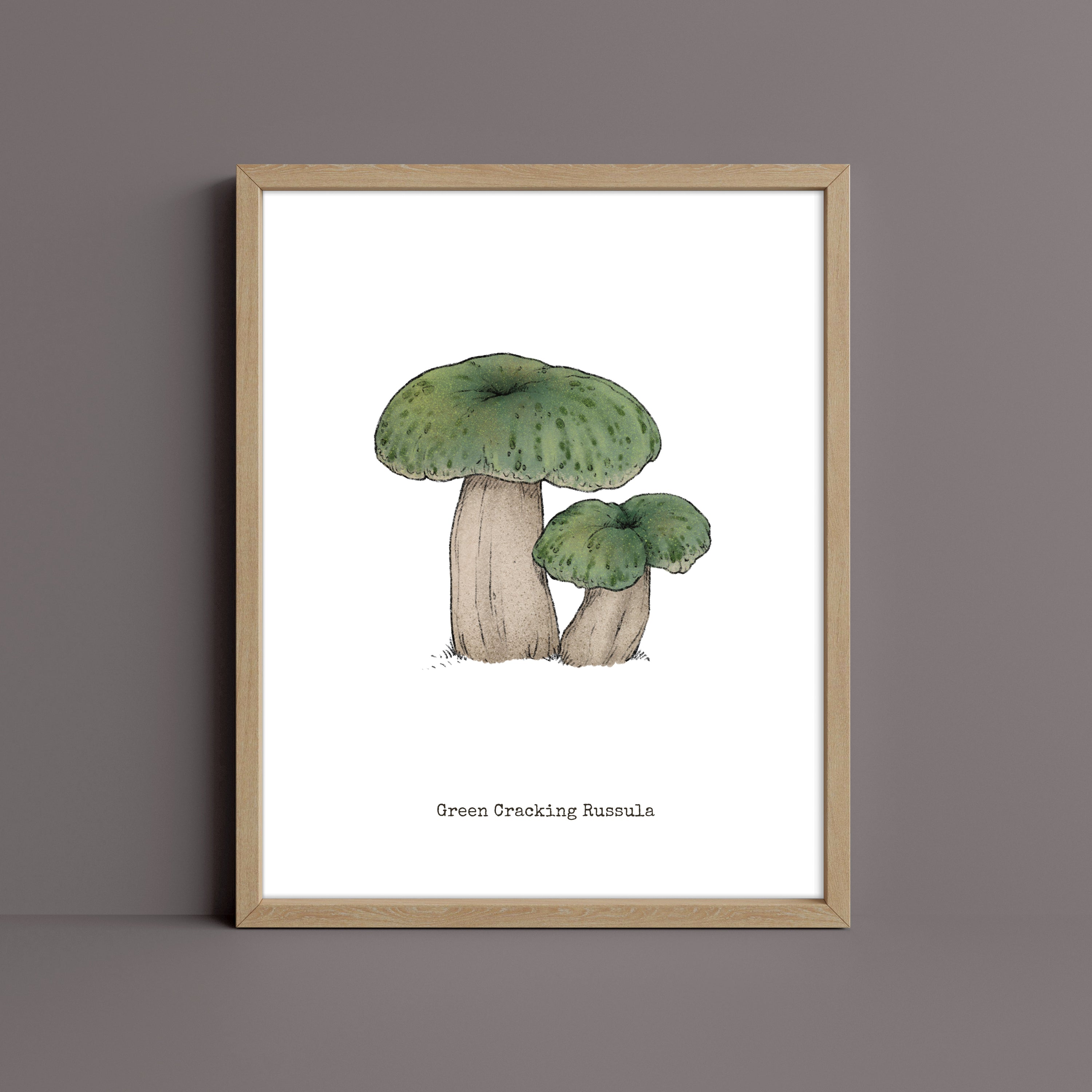 "Green Crackling Russula" by Catherine Hébert - Green Crackling Russula Mushroom Art Print
