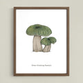 Green Crackling Russula