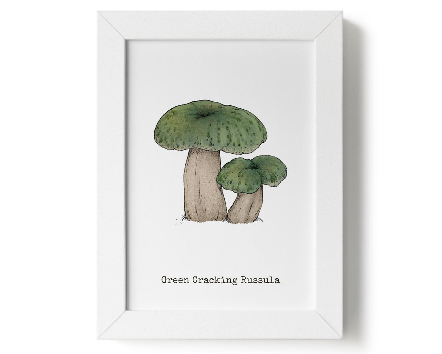"Green Crackling Russula" by Catherine Hébert - Green Crackling Russula Mushroom Art Print - 5"x7" size