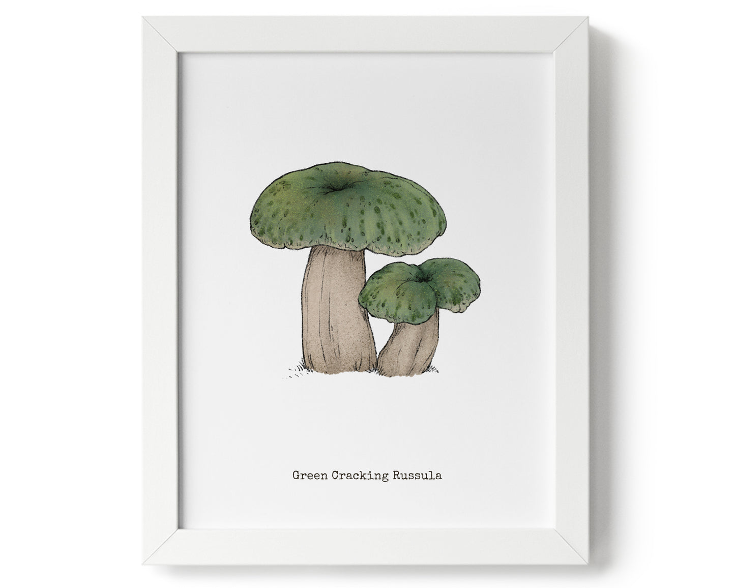 "Green Crackling Russula" by Catherine Hébert - Green Crackling Russula Mushroom Art Print - 8"x10" size