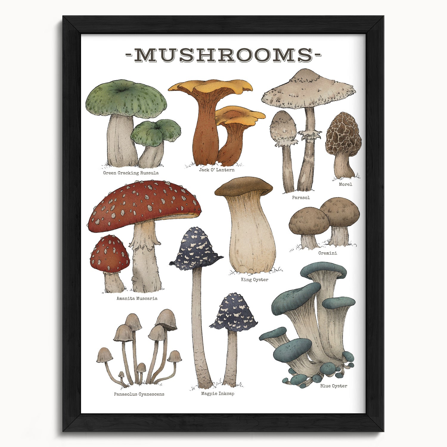 "Woodland Mushrooms - White Edition" by Catherine Hébert - Woodland Mushroom Chart Art Print - White Edition - 12"x16" size
