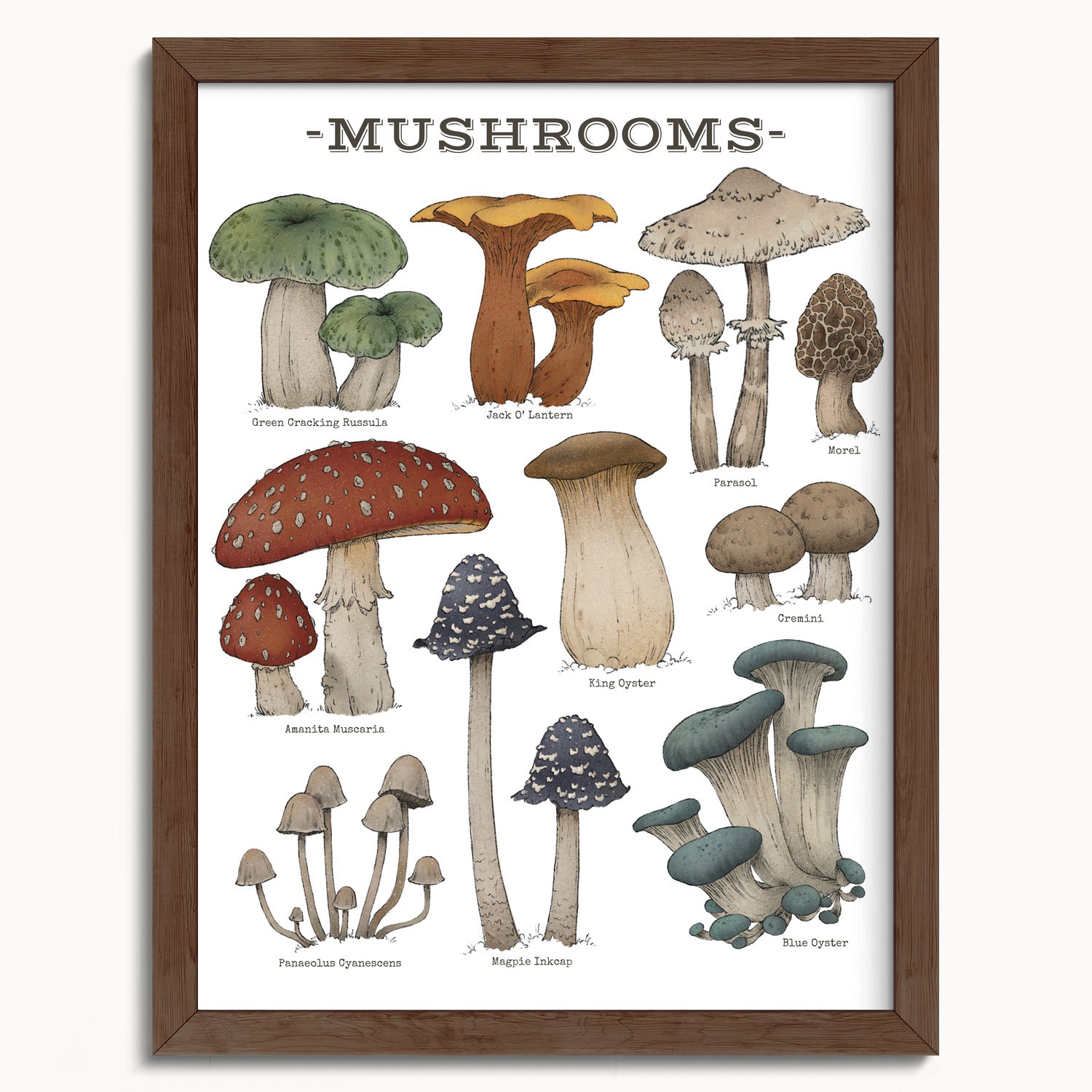 "Woodland Mushrooms - White Edition" by Catherine Hébert - Woodland Mushroom Chart - Botanical Art Print - 12"x16" size